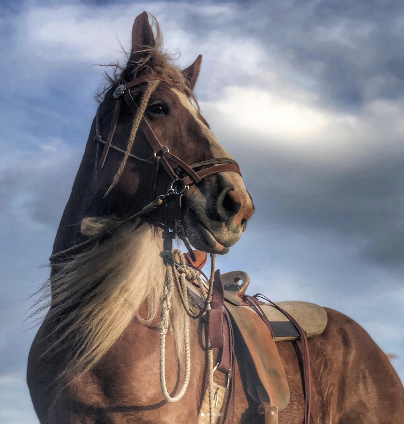 Screenshot 2026-03-28 at 7.53.26 PM.png