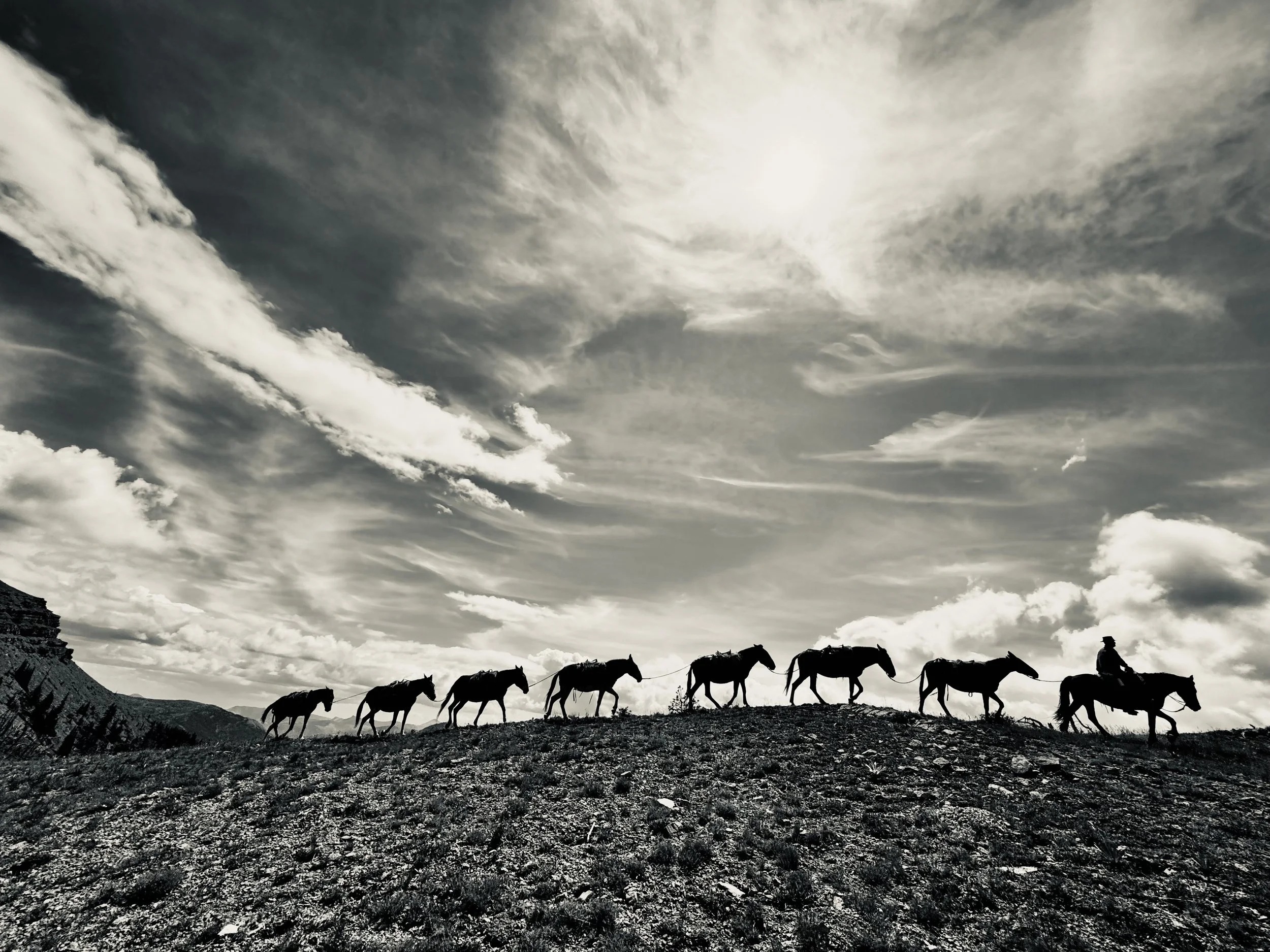 IMG_5901.jpeg (Copy)