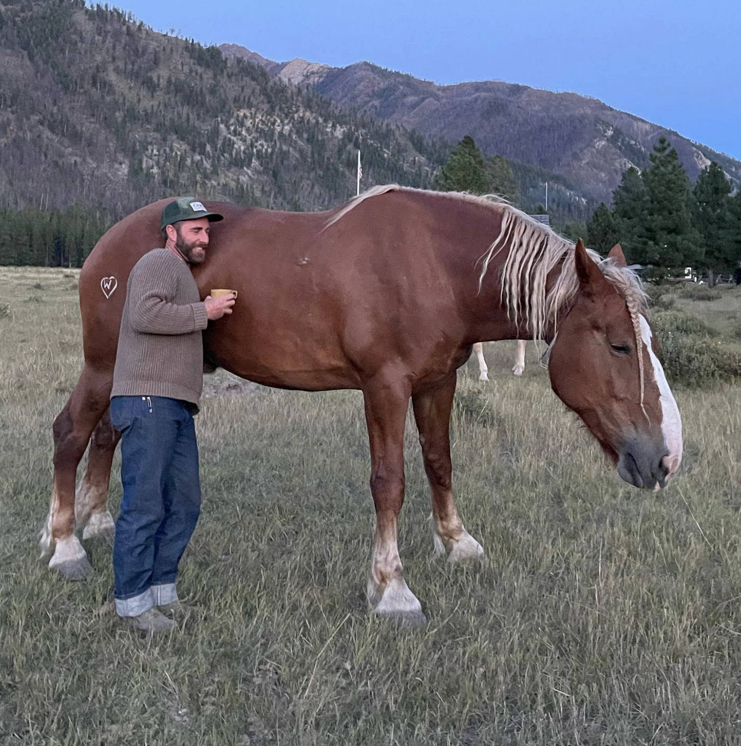 Screenshot 2026-02-19 at 12.29.47 PM.png