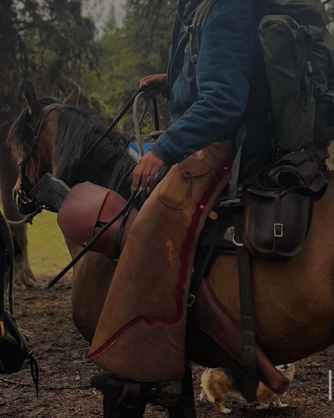 A person riding a horse through a wooded area with a backpack and gear.