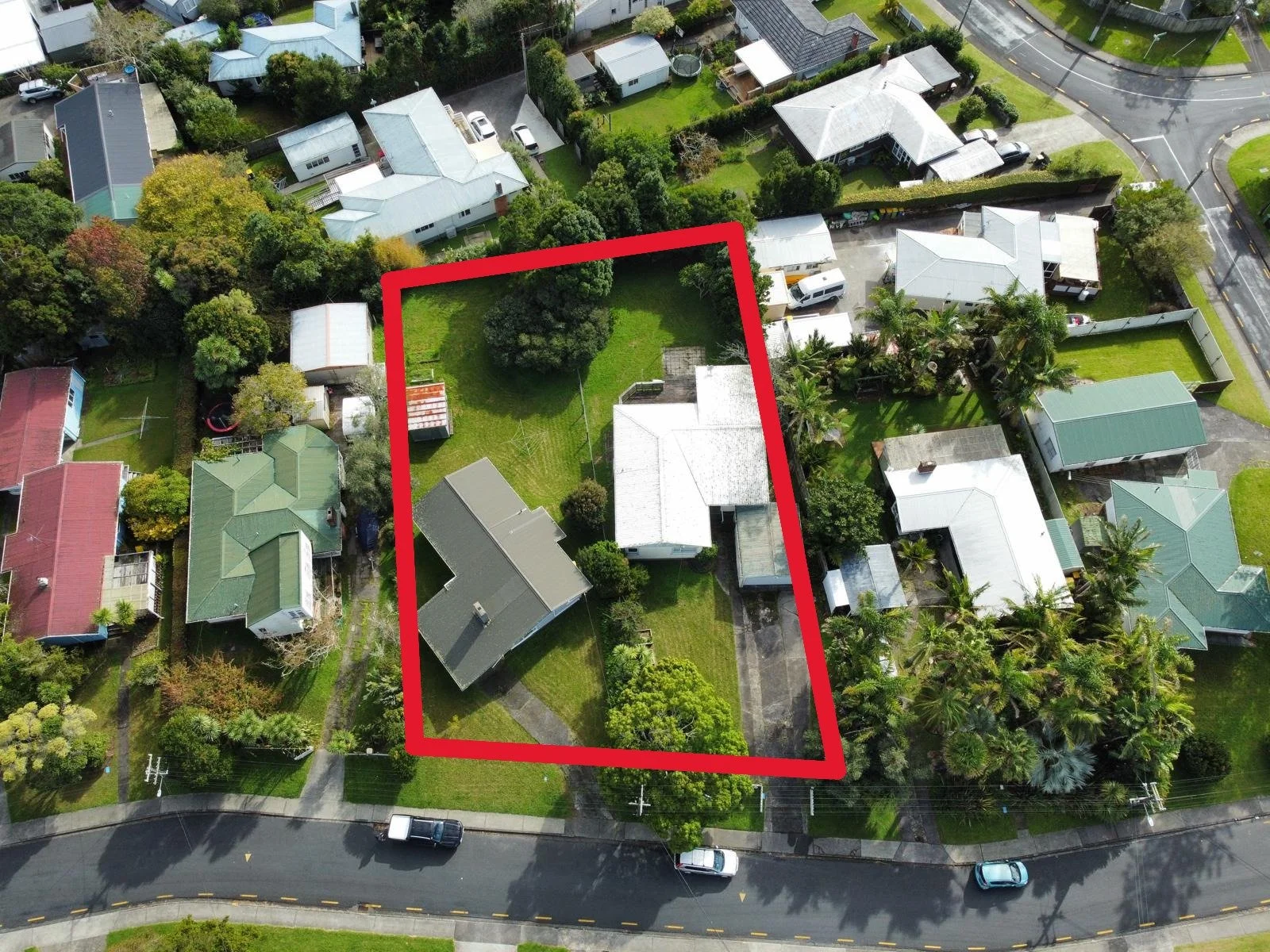 Saffron (consenting)