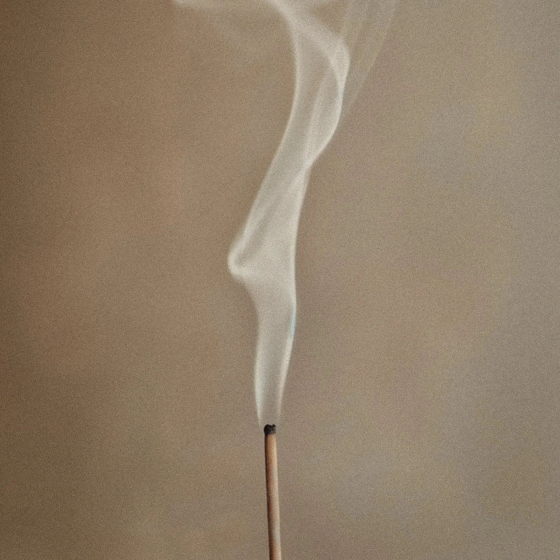 IMG-1825.jpg
