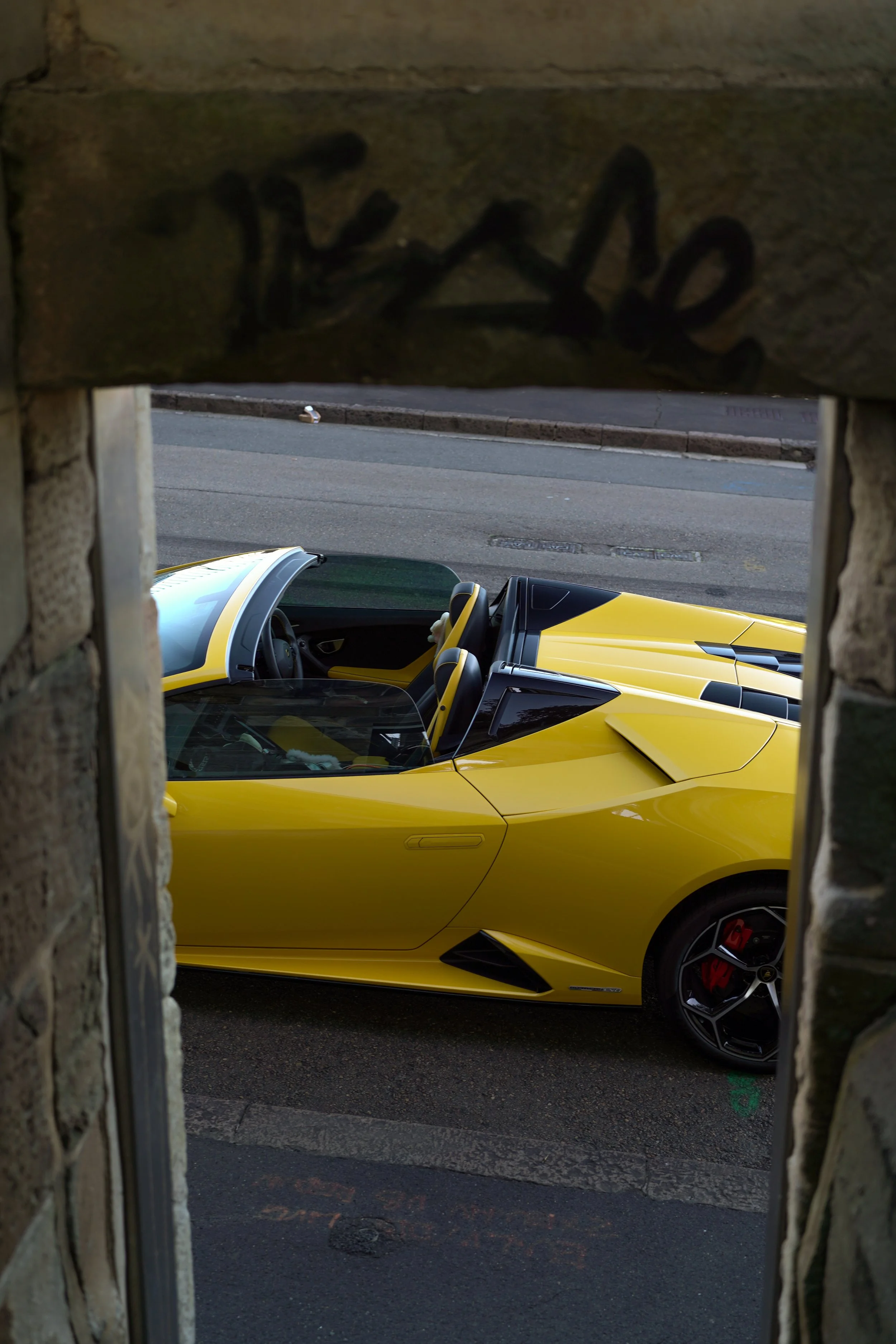DSC00486.jpg