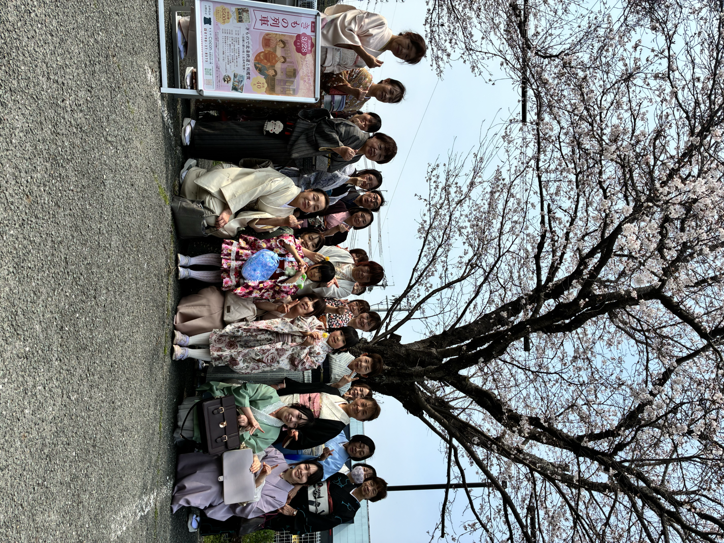 桜の木の下でグループ写真を撮る人々。数人は伝統的な着物を着ている。