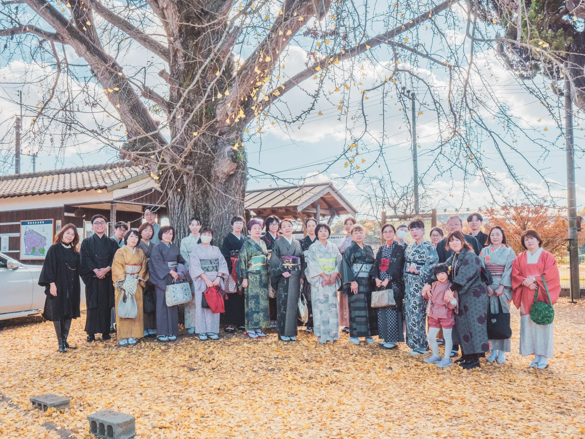 秋の公園で、木の下で和服を着た複数人のグループの写真。
