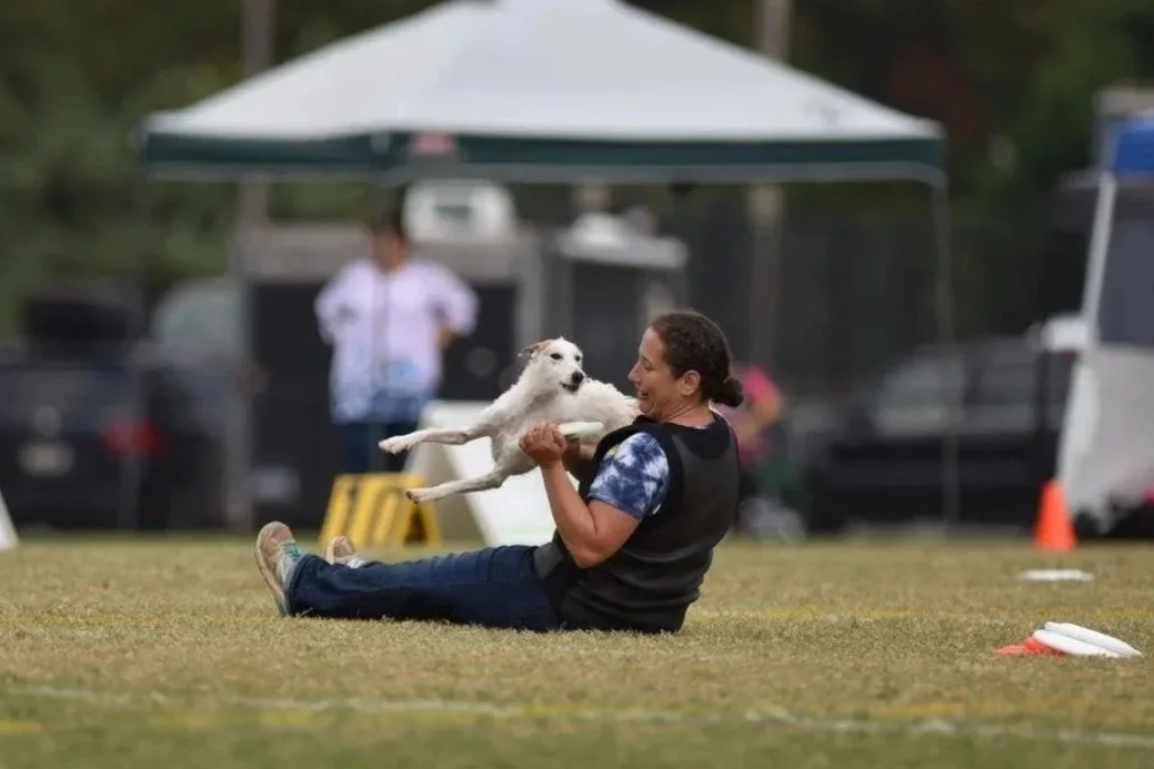 A woman is playing with a dog on a grassy field during an outdoor event, with a tent and cars in the background.