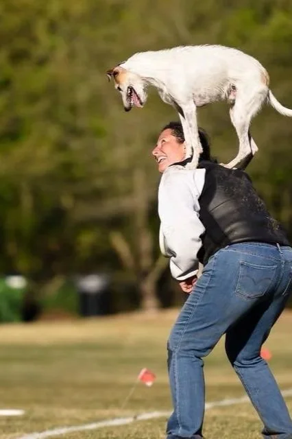 A person bending over with a dog walking on their back, outdoors on a grassy field with trees in the background.