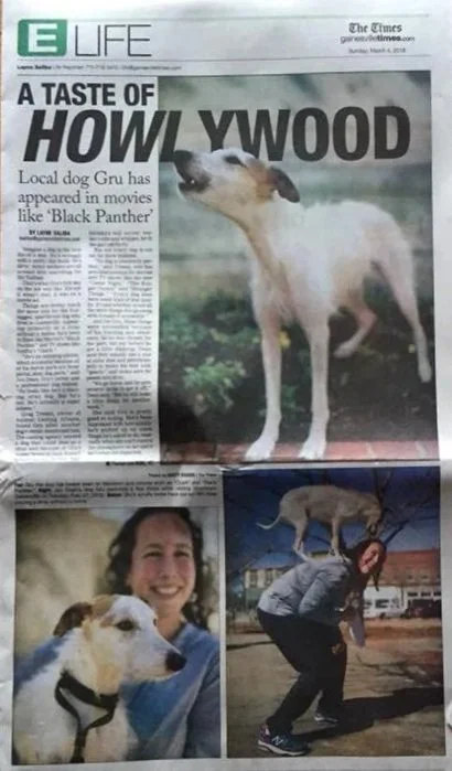 Front page of a newspaper with a headline about a dog named Gru, featuring a photo of a dog standing on grass. The page also shows two smaller photos at the bottom: one of a smiling woman with the dog, and another of a woman crouching next to the dog outside.