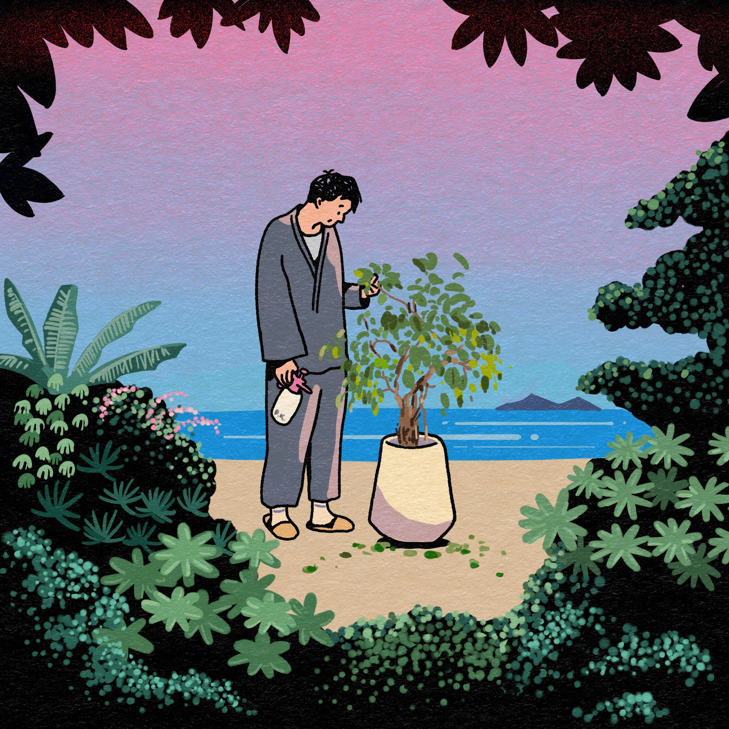 Plant.jpg