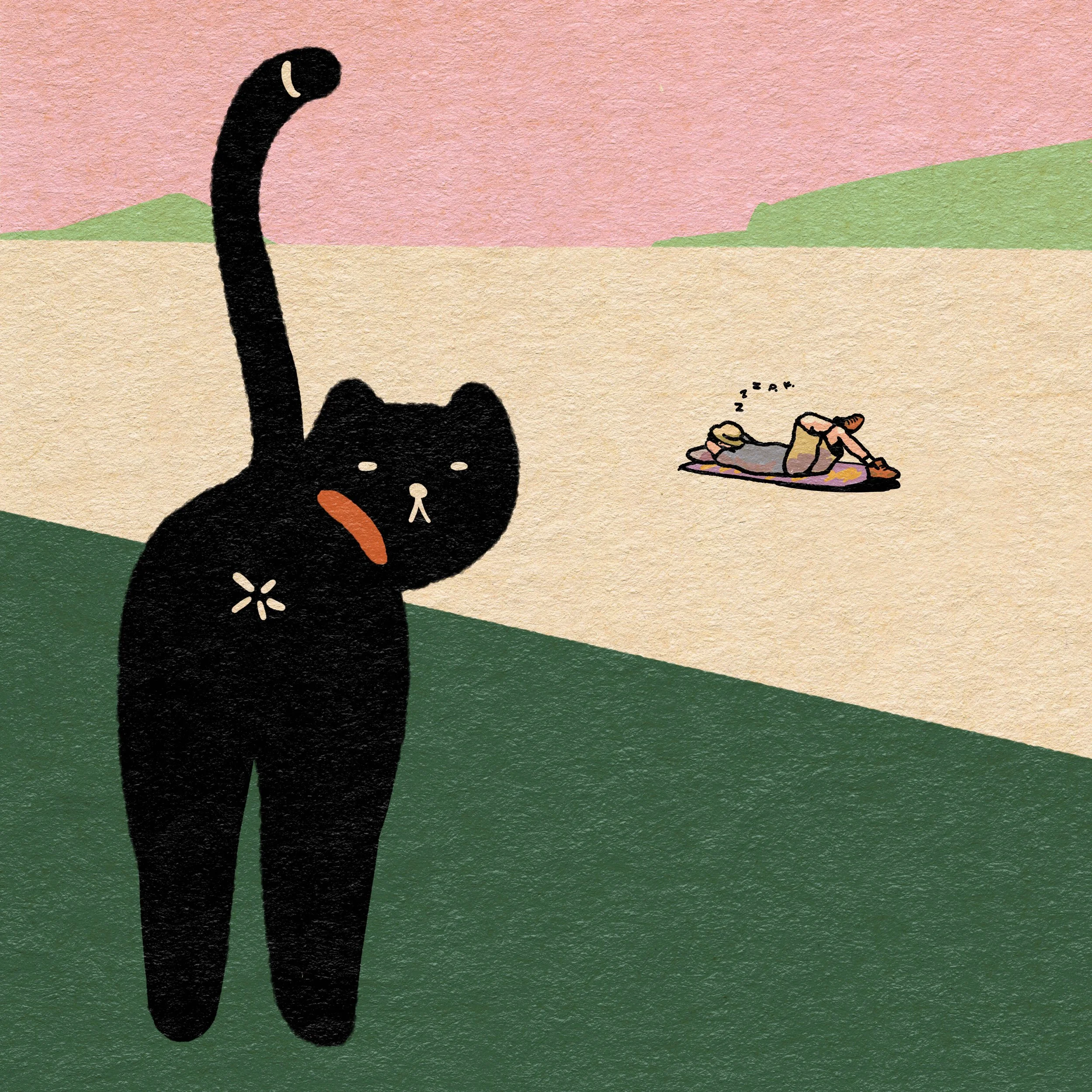 Cat.jpg