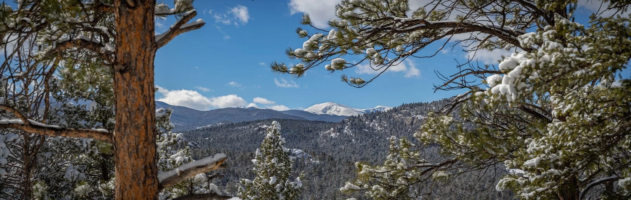 Mount Falcon Castle Trail Loop