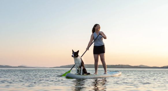 Screenshot 2026-02-28 9.25.47 PM.png