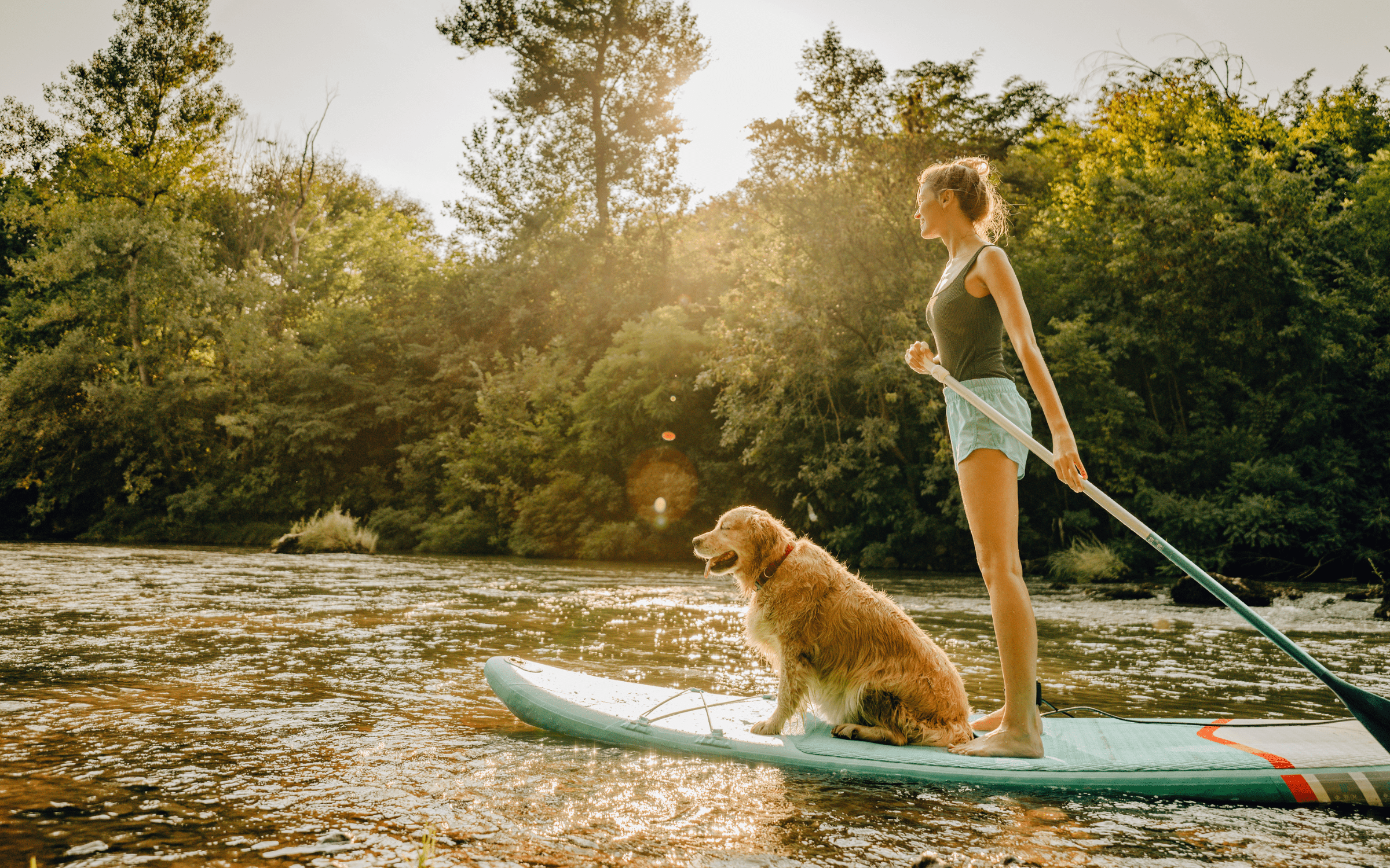 The-Benefits-of-Stand-Up-Paddle-Boarding-with-Your-Dog.png