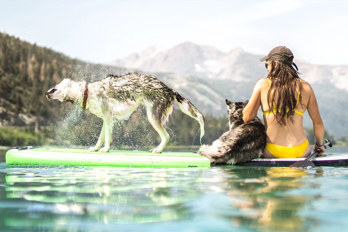 Sober Doggo Paddle Day with Sober Outdoors!