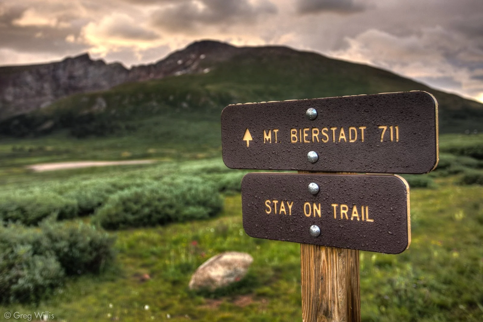 Finding Stillness at 14,000 Feet: How High Altitude Changed My Recovery