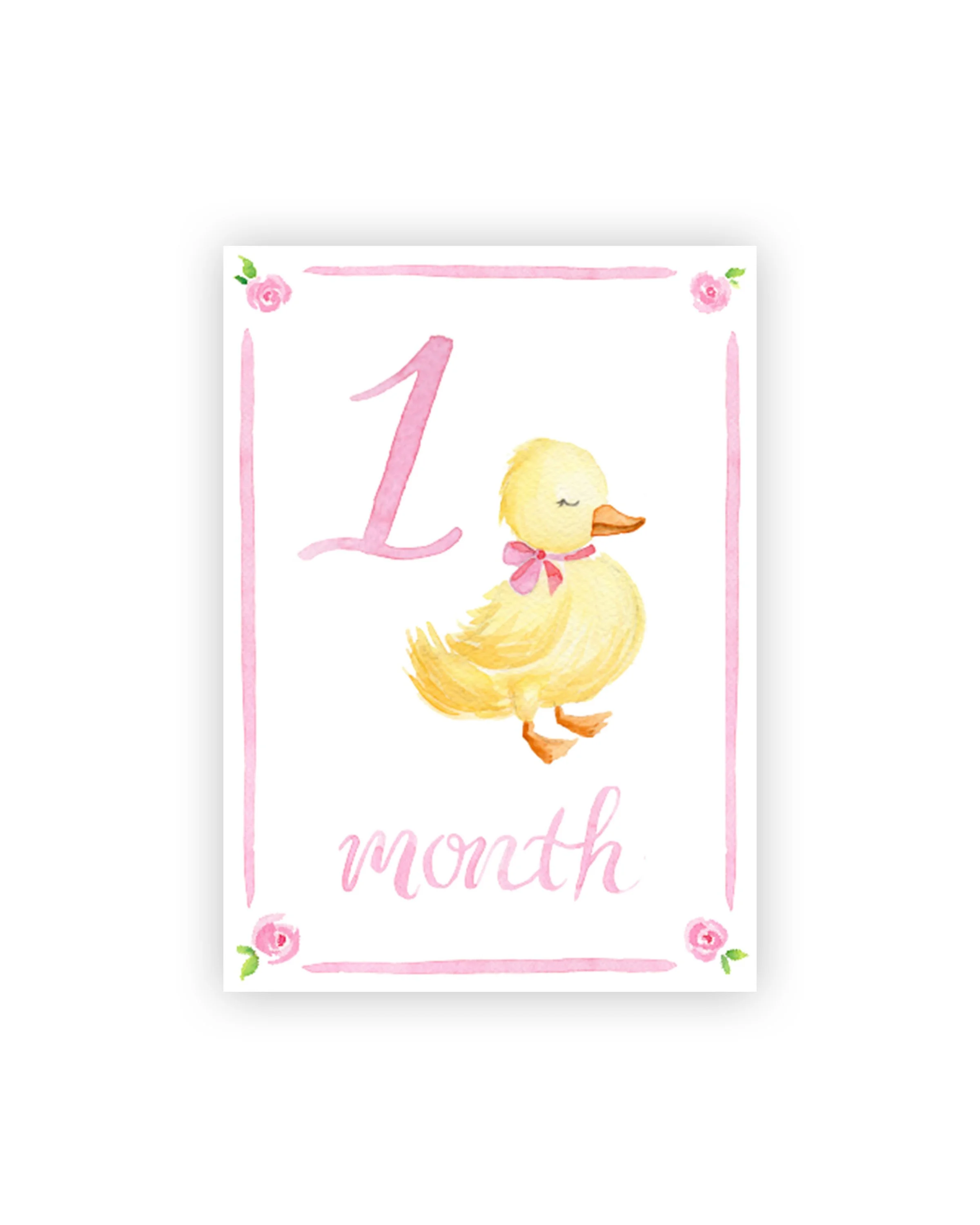 Baby Milestone Cards - Pink