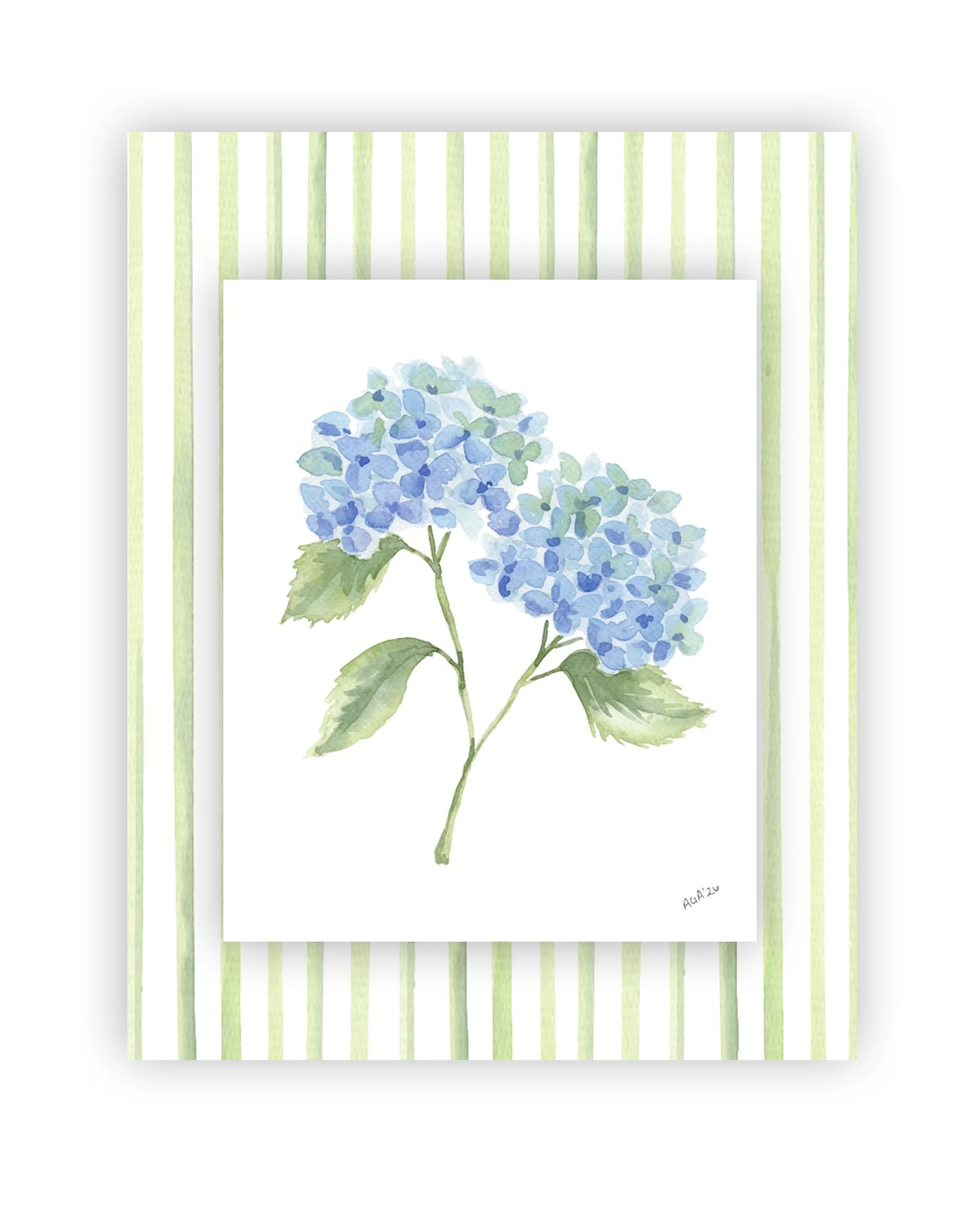 Double Blue Hydrangea with Striped Backdrop