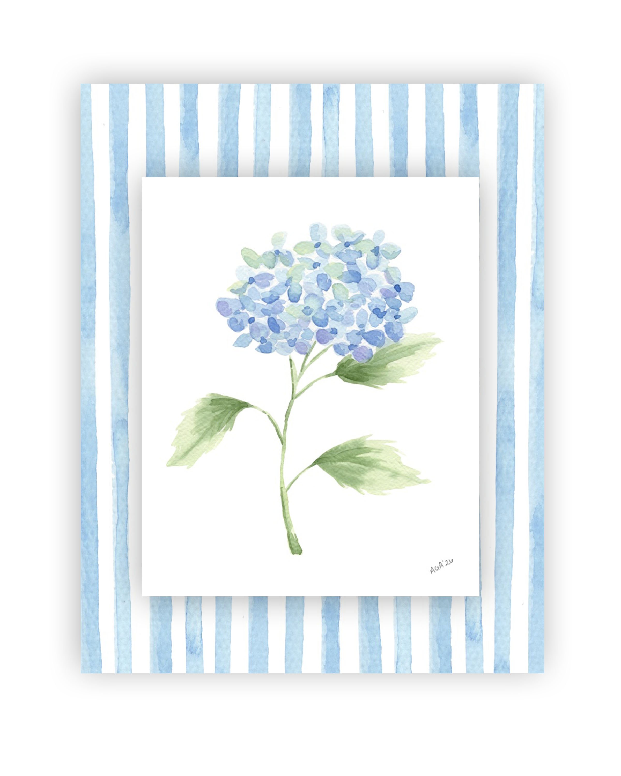 Single Blue Hydrangea with Striped Backdrop