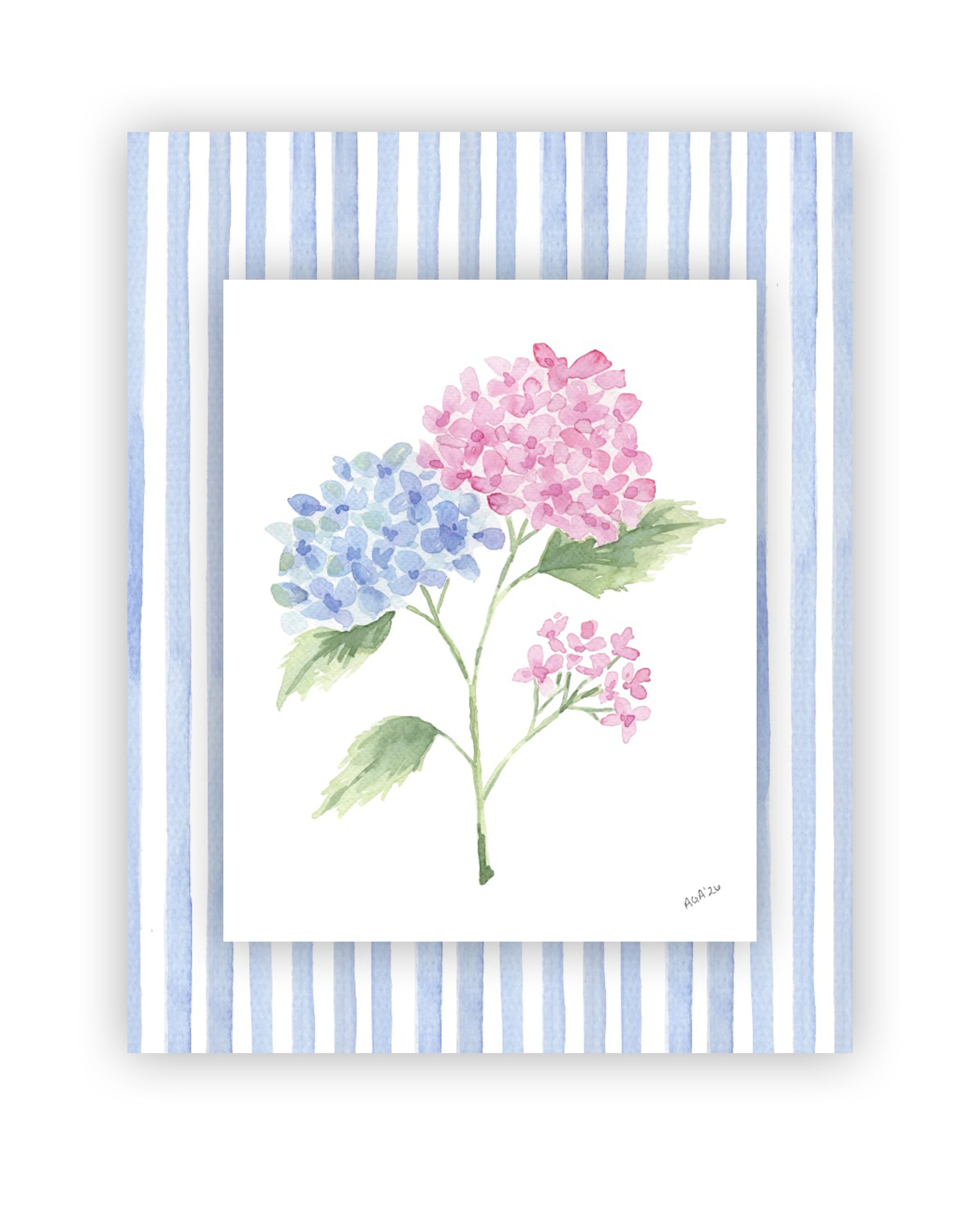 Pink and Blue Hydrangea with Striped Backdrop