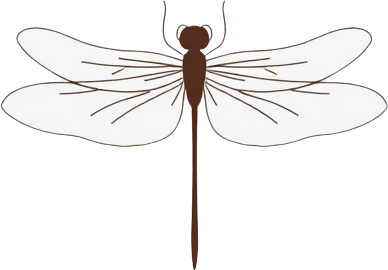 Illustration of a dragonfly with white wings and a brown body.
