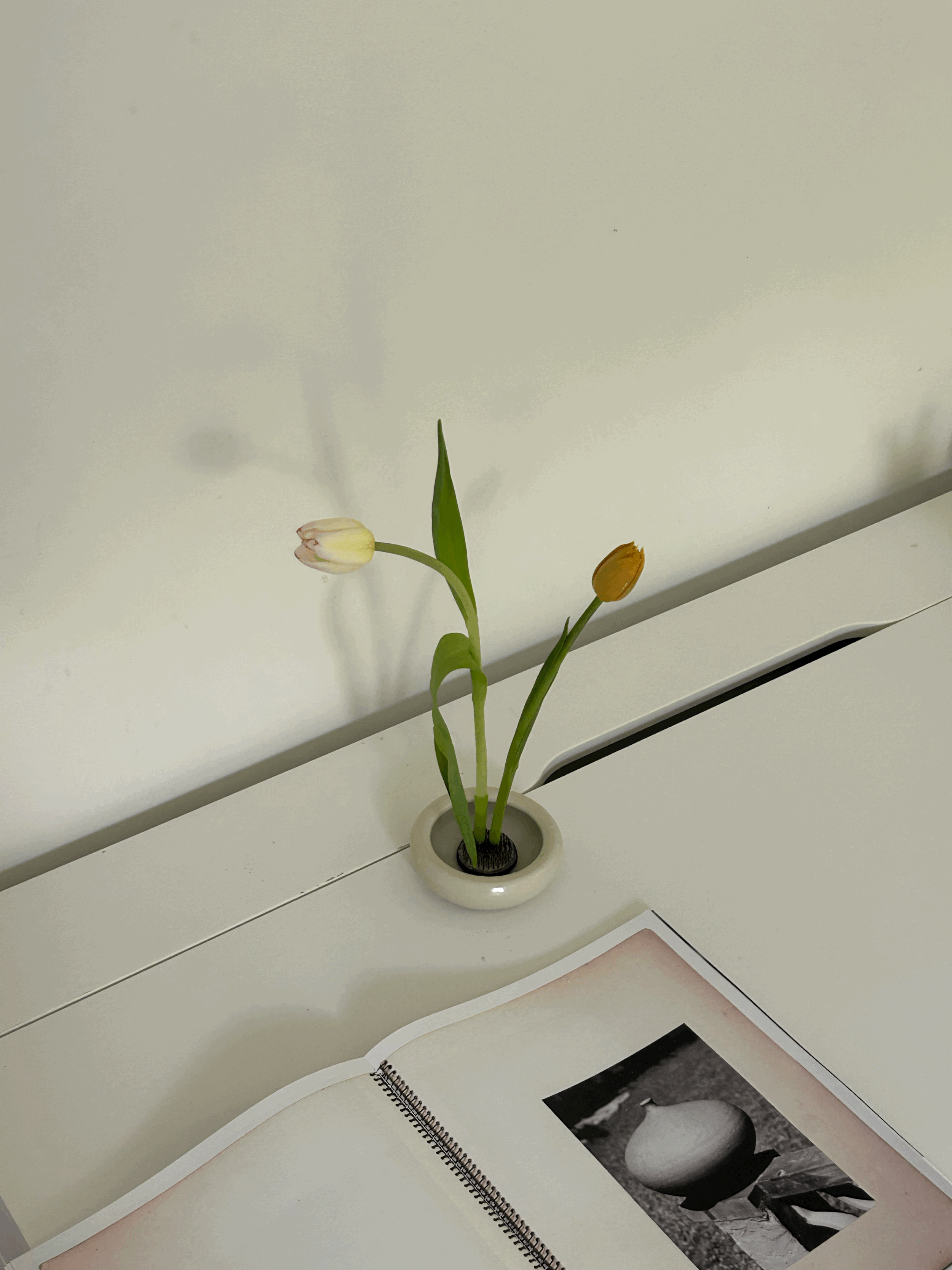 Ikebana vase