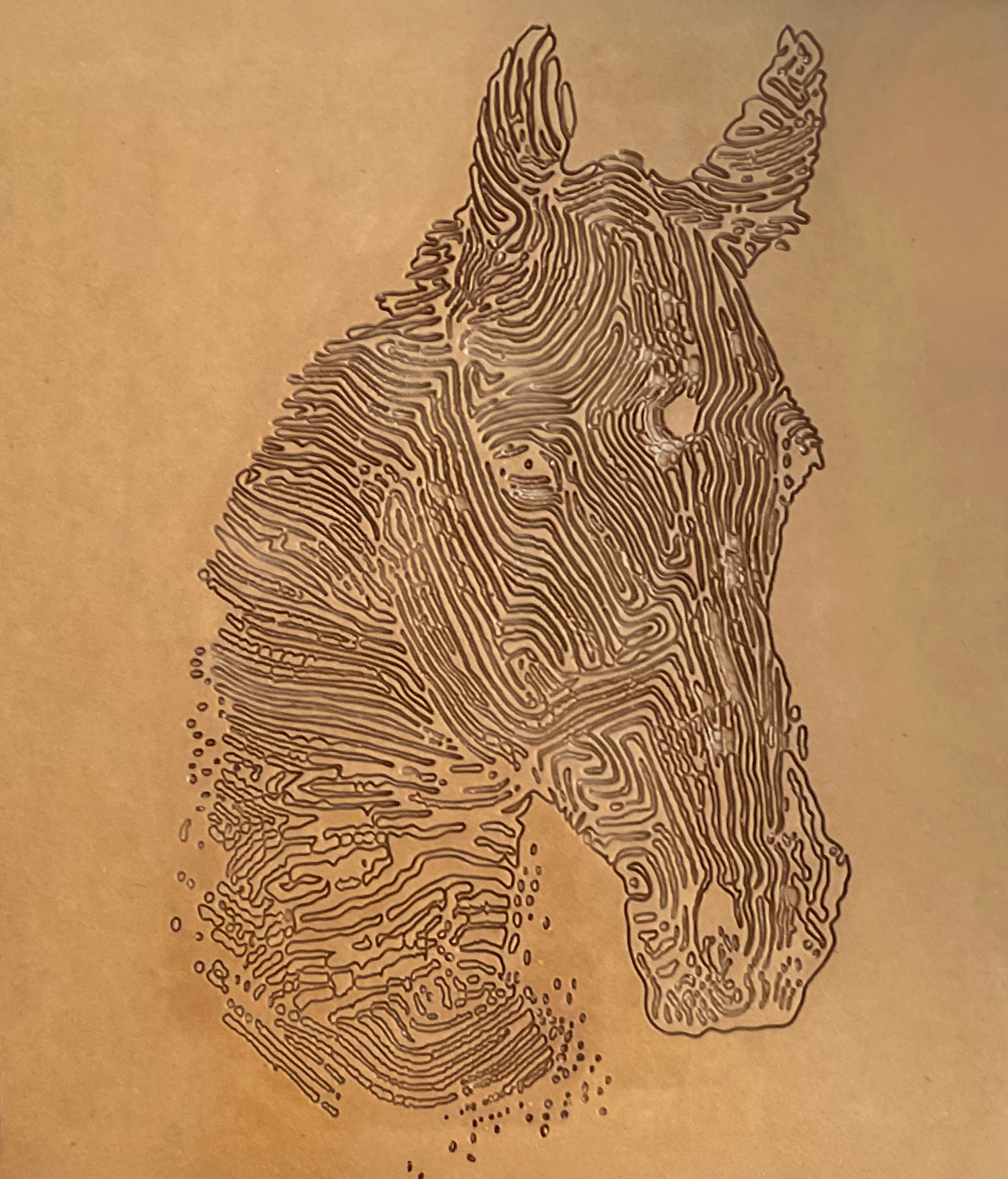 Horse