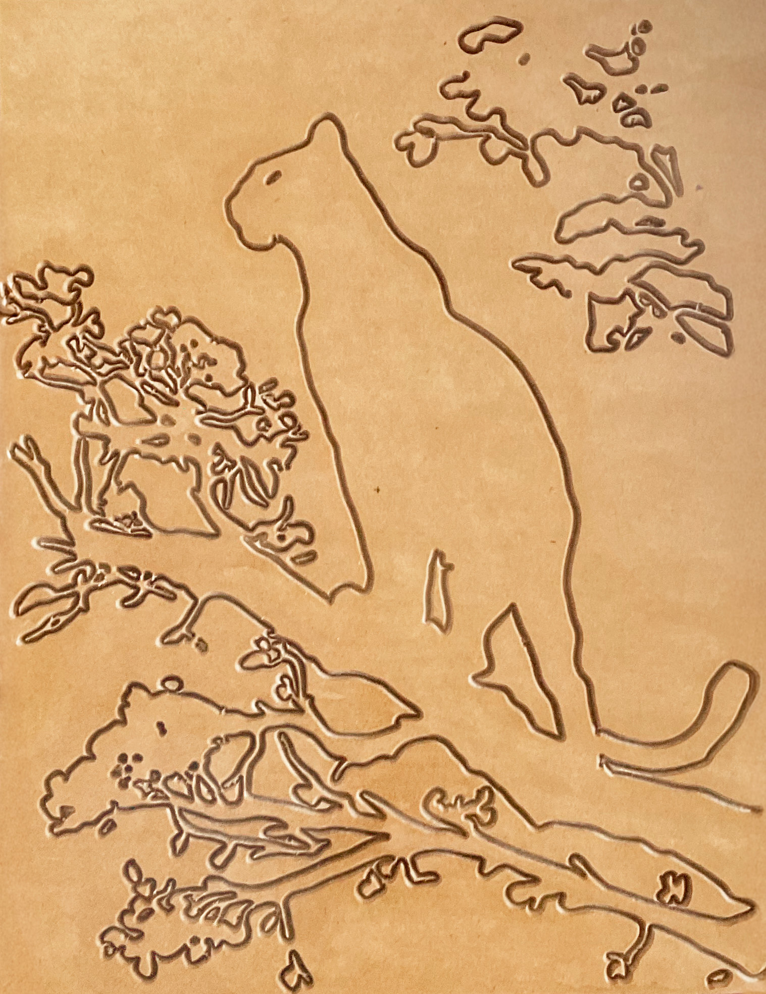 Leopard On Branch