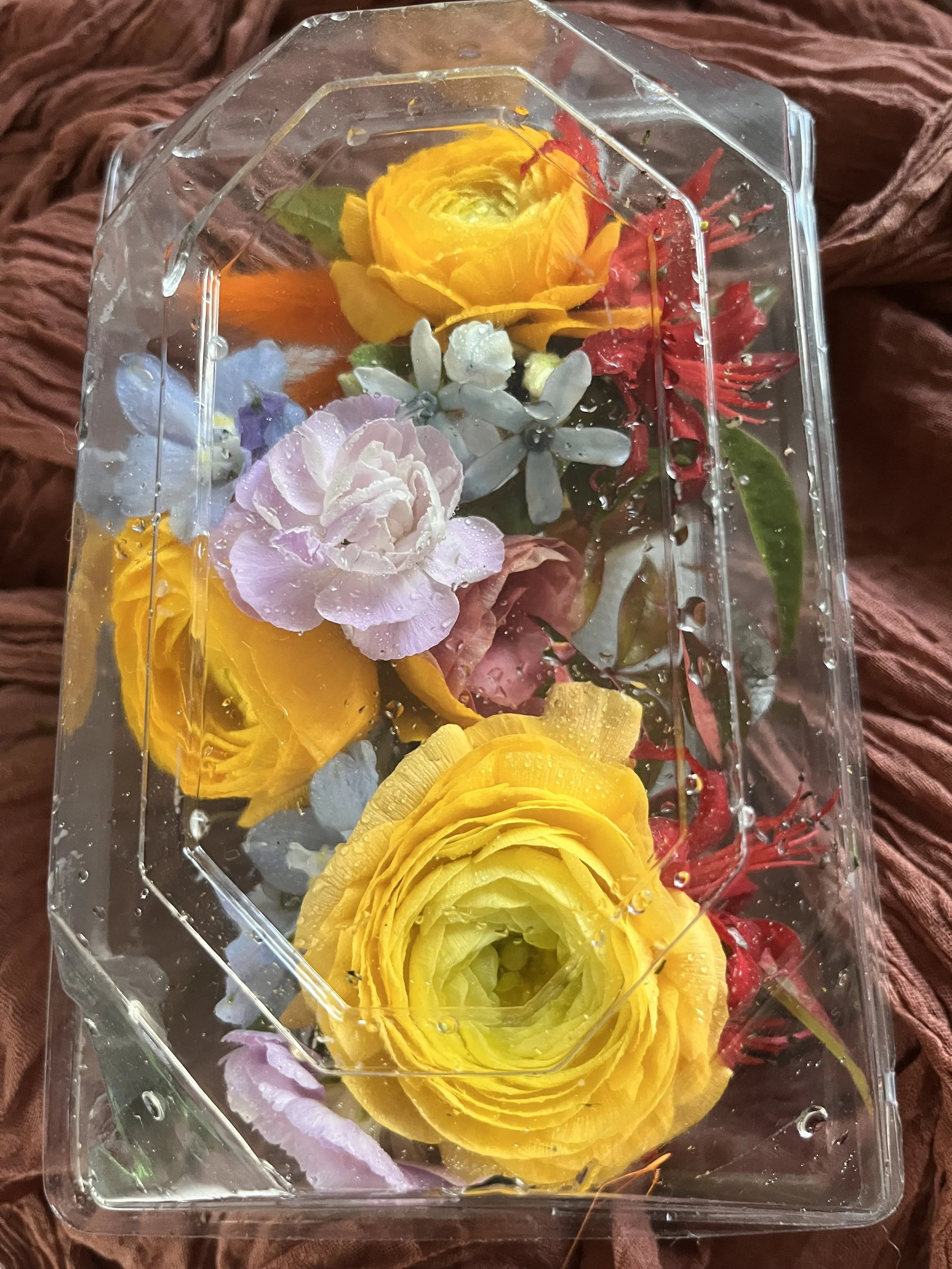 Photo Oct 22 2022, 6 03 46 PM.jpg