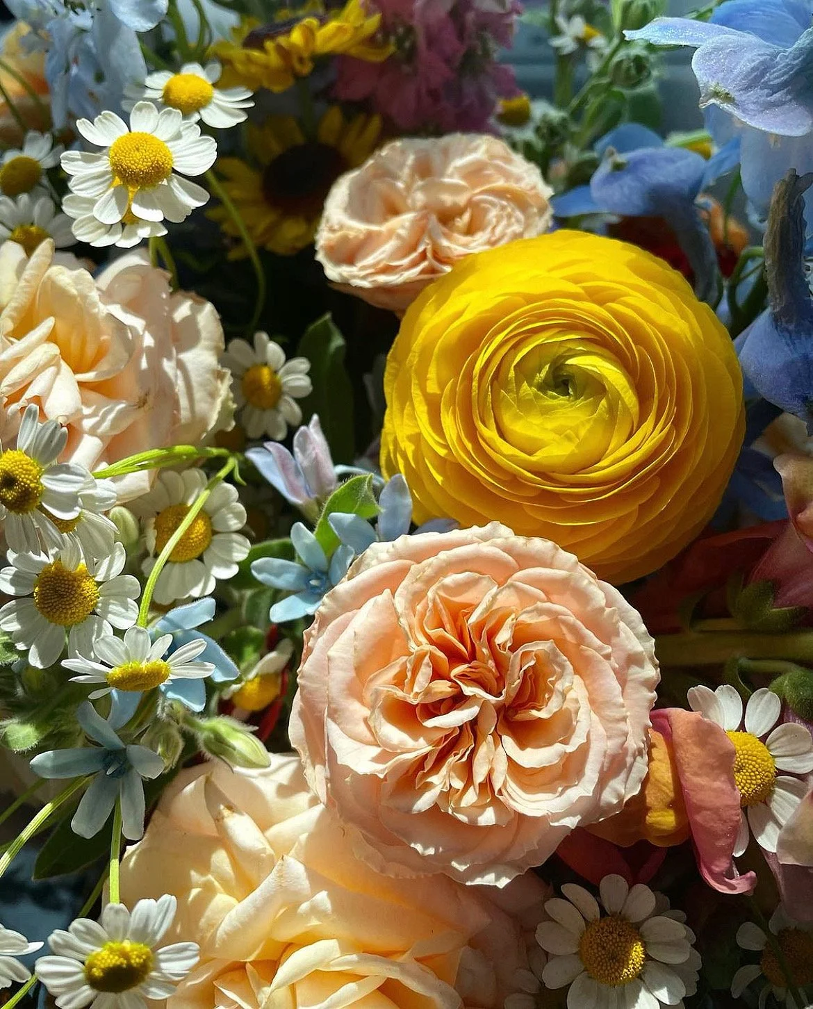 Photo Jan 23 2024, 10 19 40 PM (6).jpg