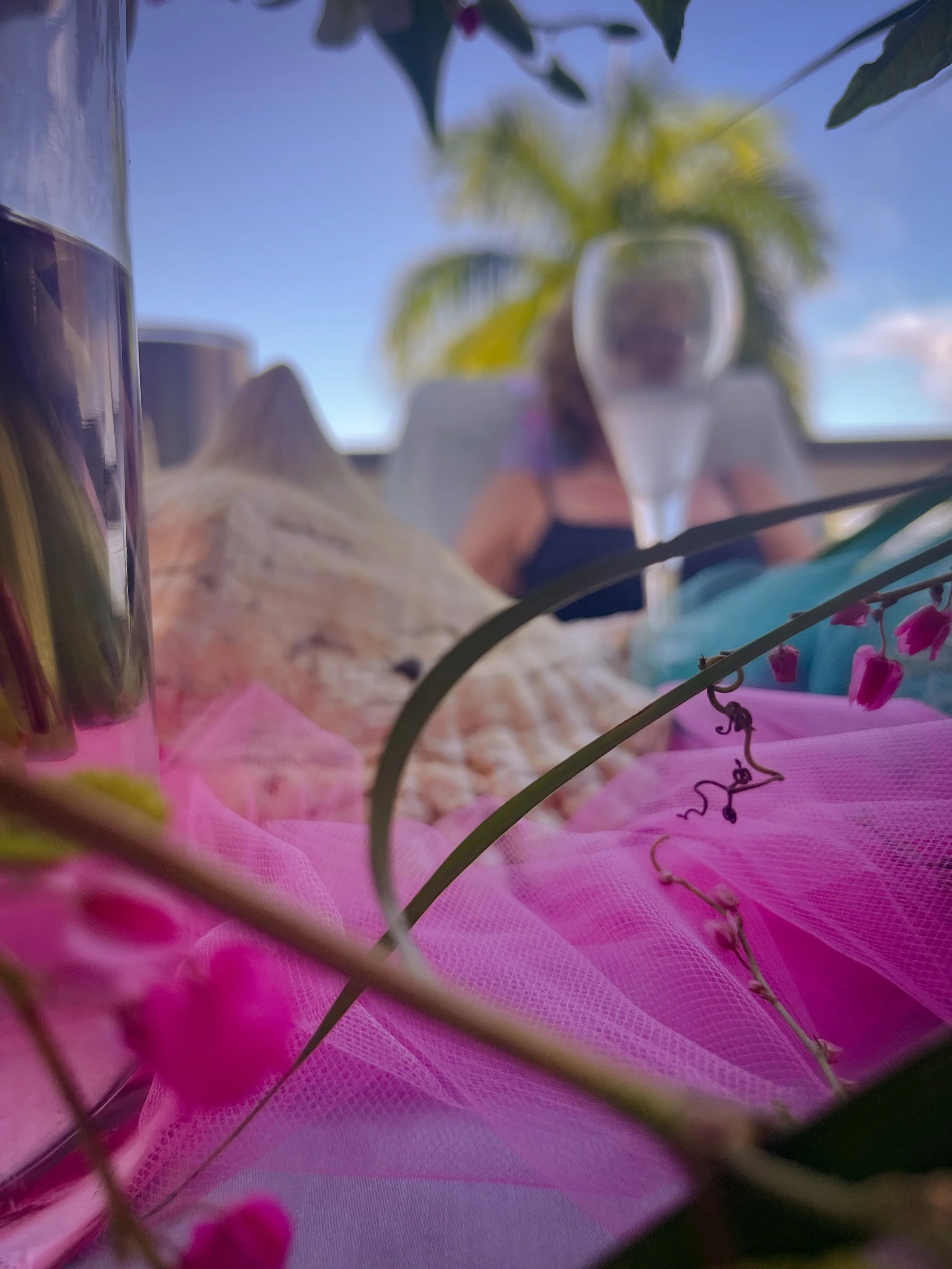 Photo Nov 11 2022, 4 00 27 PM.jpg