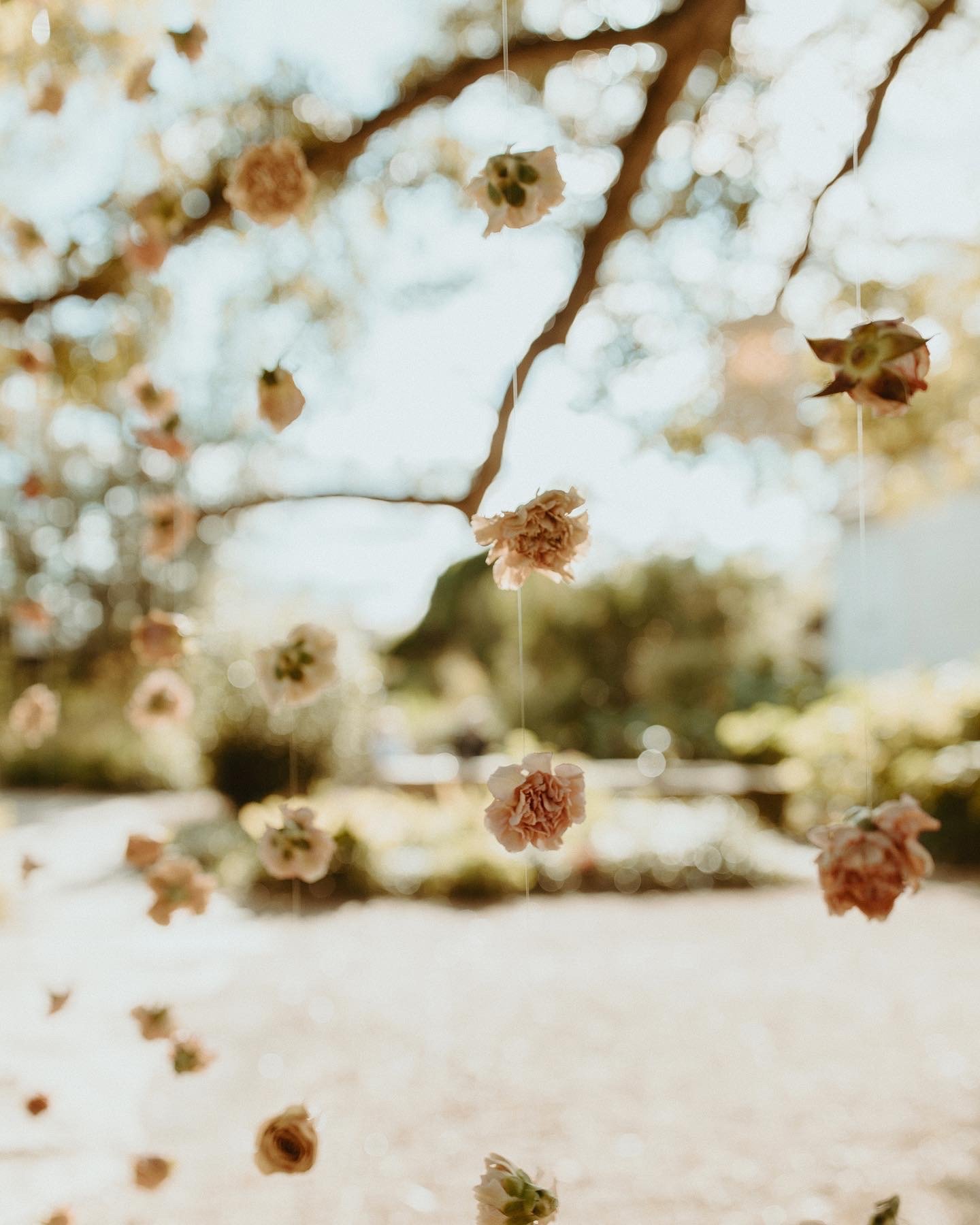 Photo Jan 23 2024, 10 19 40 PM (9).jpg