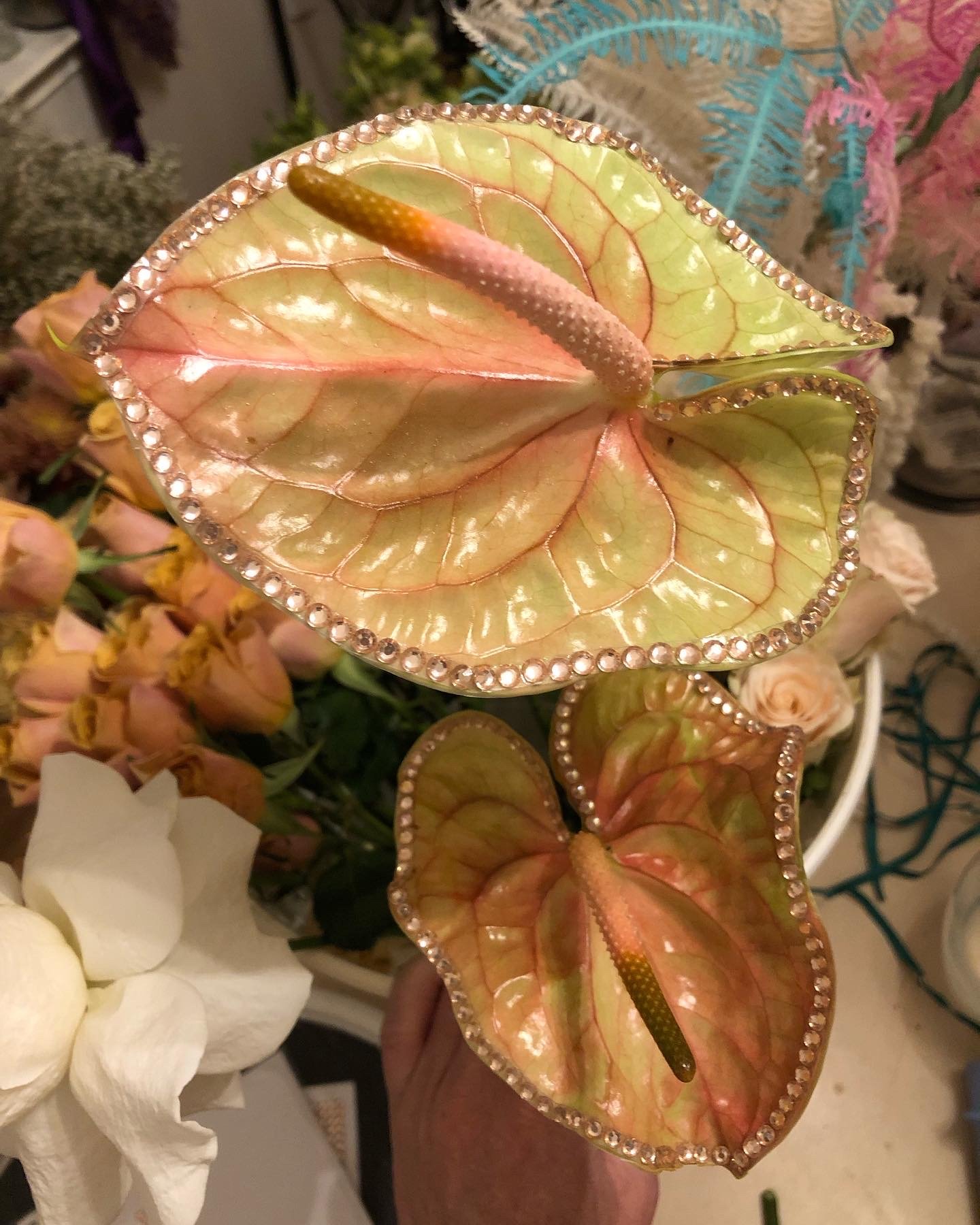 Photo Jan 23 2024, 10 19 40 PM (13) (1).jpg