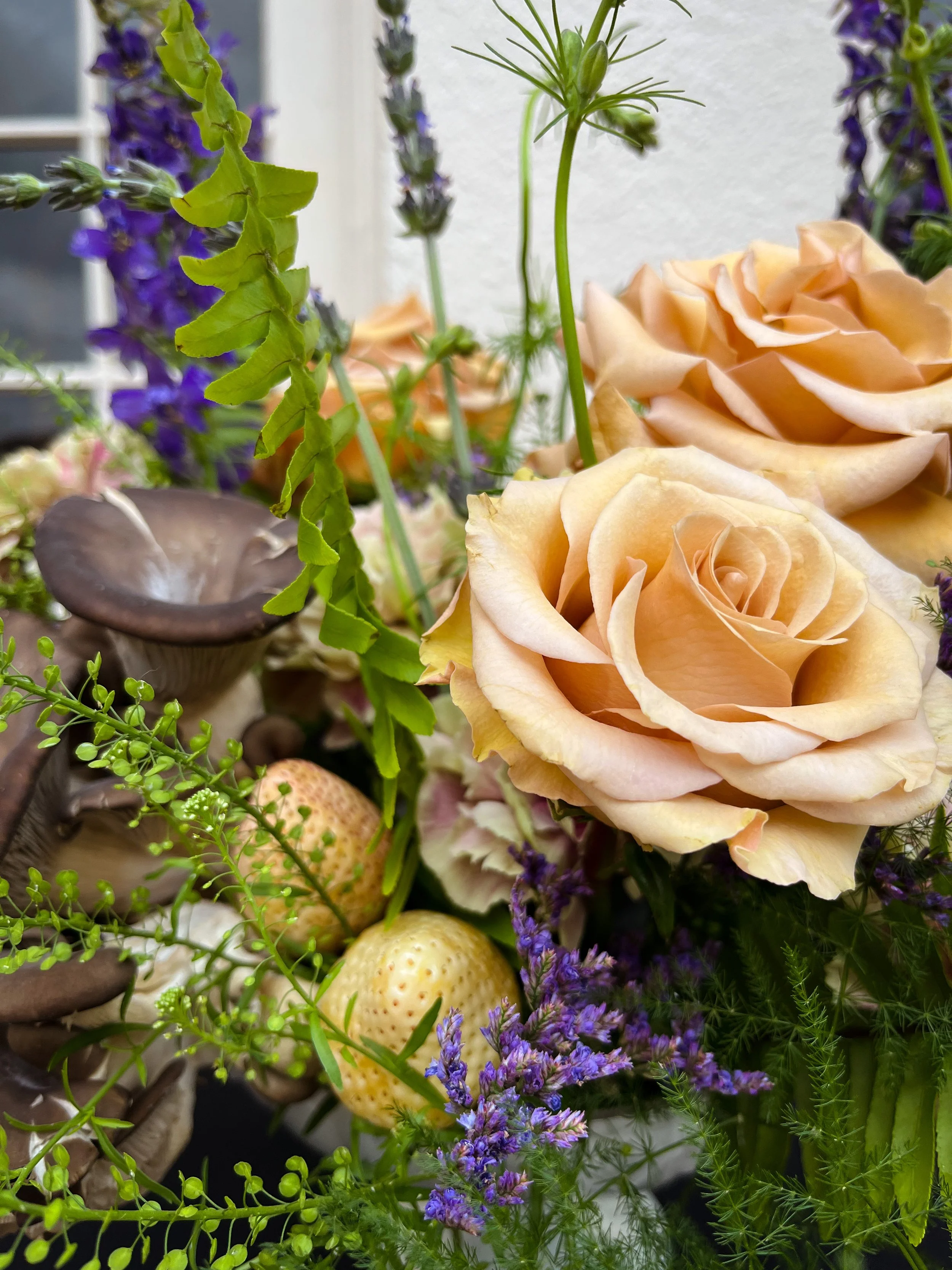 Photo Mar 05 2022, 10 17 48 AM.jpg