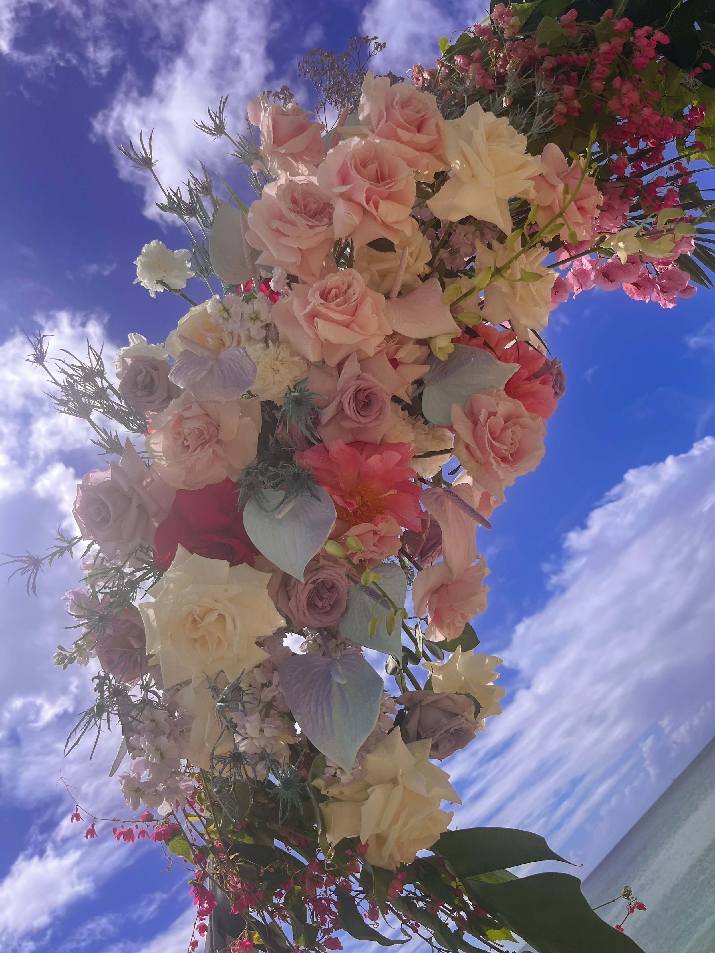 Photo Nov 11 2022, 12 33 16 PM.jpg