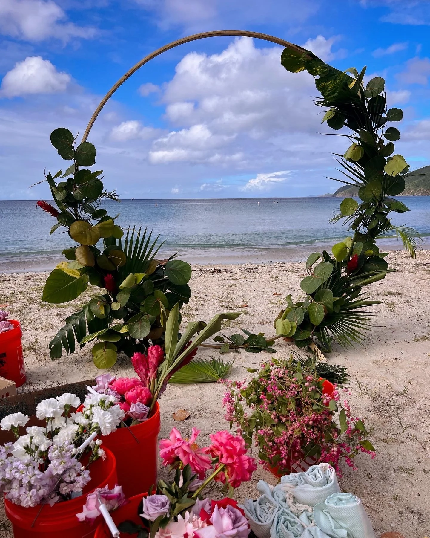 Photo Jan 23 2024, 10 11 39 PM (1) (1).jpg