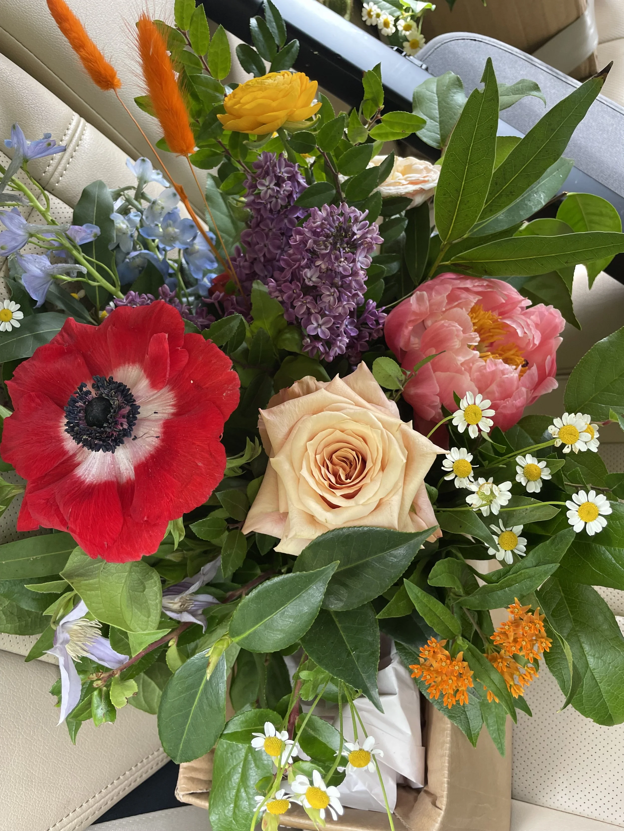 Photo Apr 30 2022, 10 49 26 AM.jpg