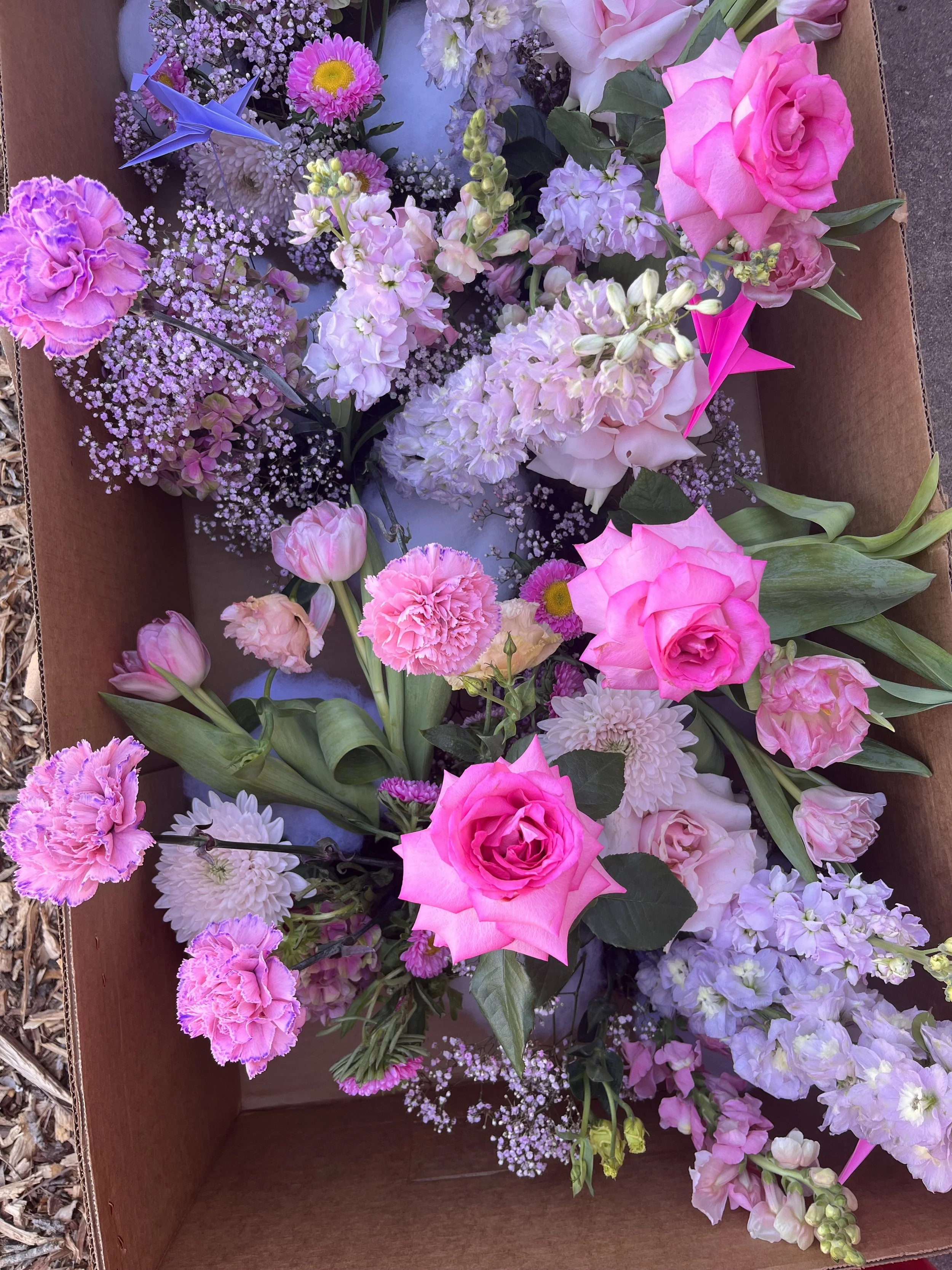 Photo Jan 14 2023, 12 48 53 PM.jpg