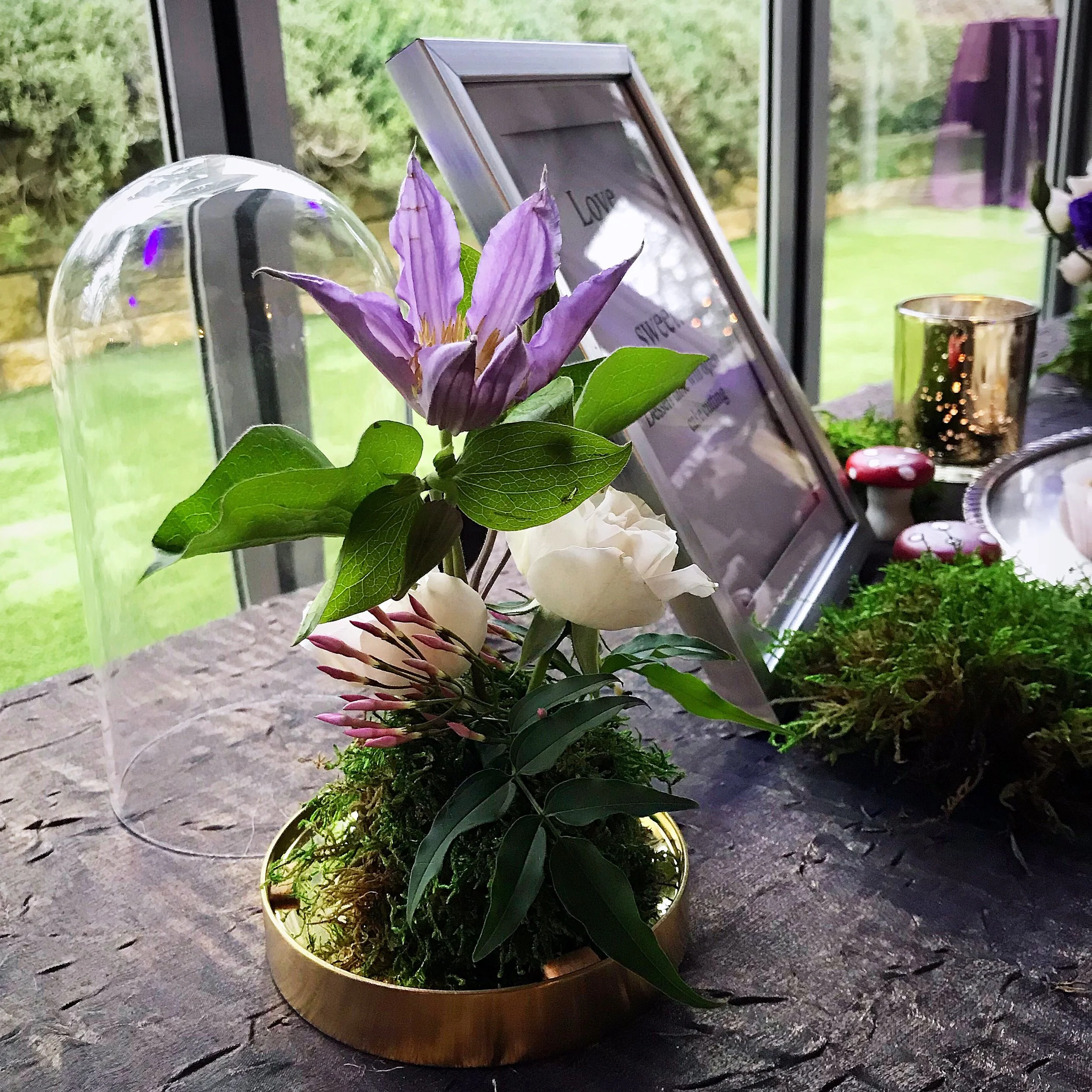 Photo Feb 23, 12 05 45 PM.jpg