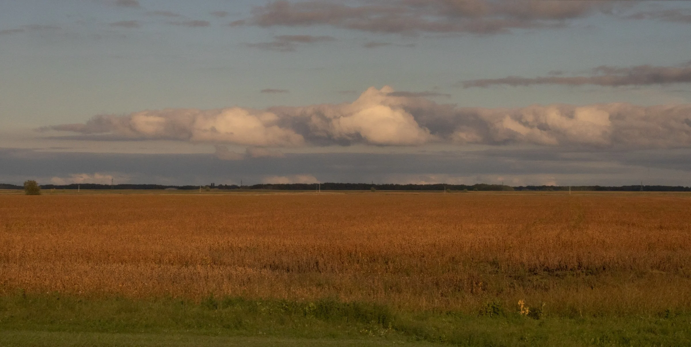 open prairie landscape with golden grasses, distant tree line and dramatic layered clouds stretching across a wide sky