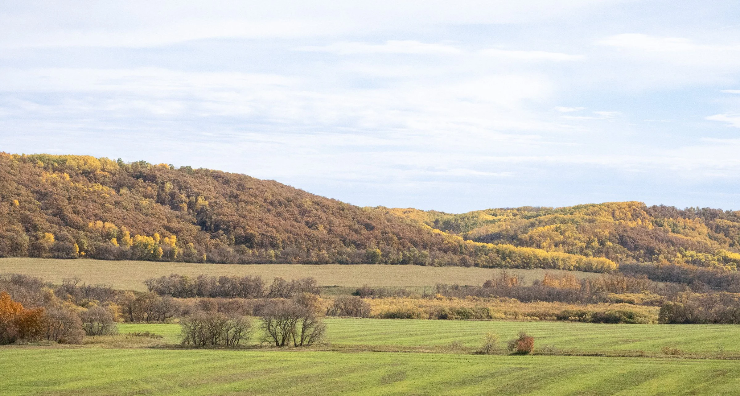 Rolling prairie valley with green foreground fields, wooded hills in muted autumn tones beneath a pale sky