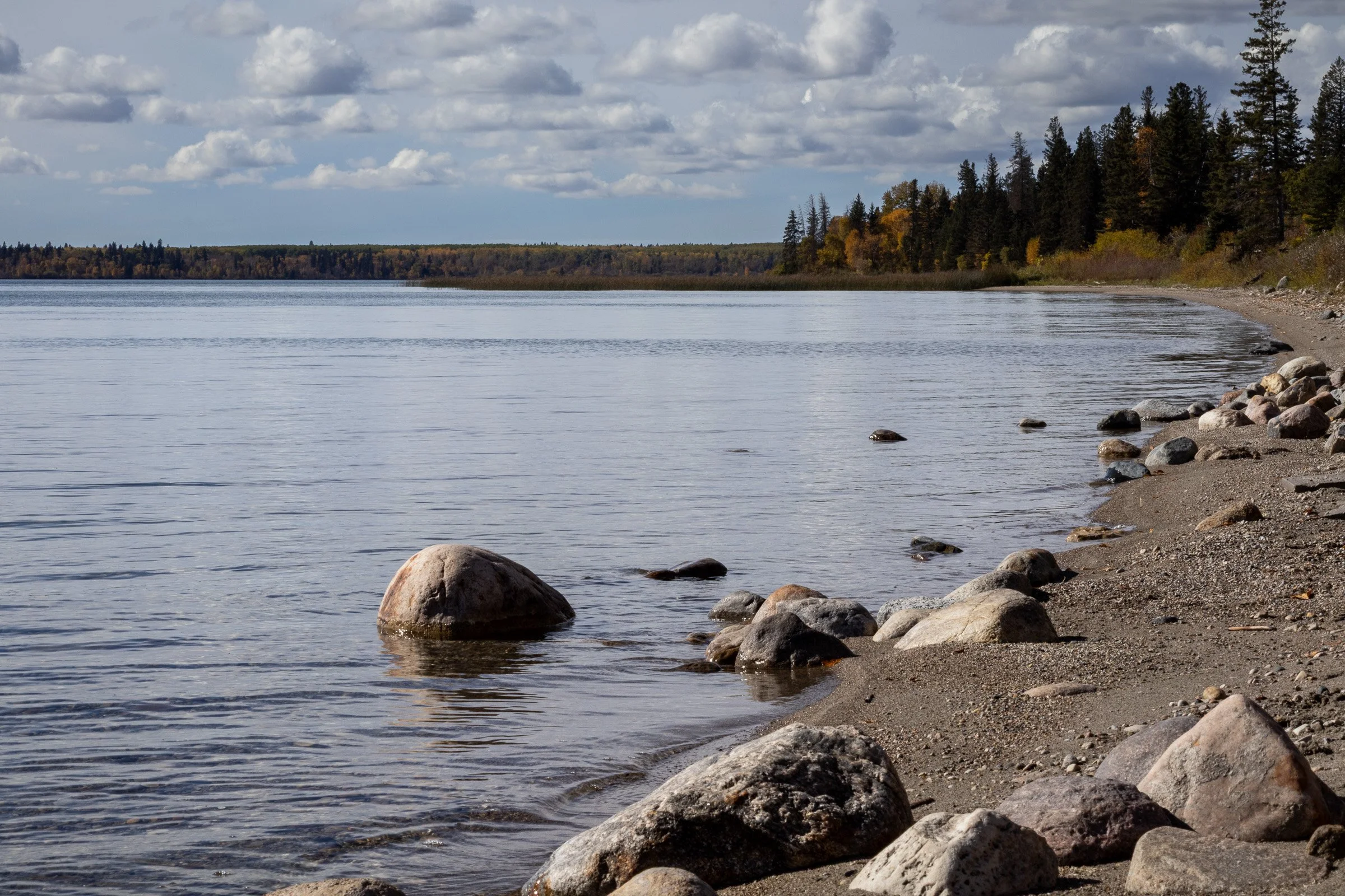 Rocky shoreline along a calm prairie lake, with smooth stones in the foreground and a tree-lined horizon under a cloudy sky.