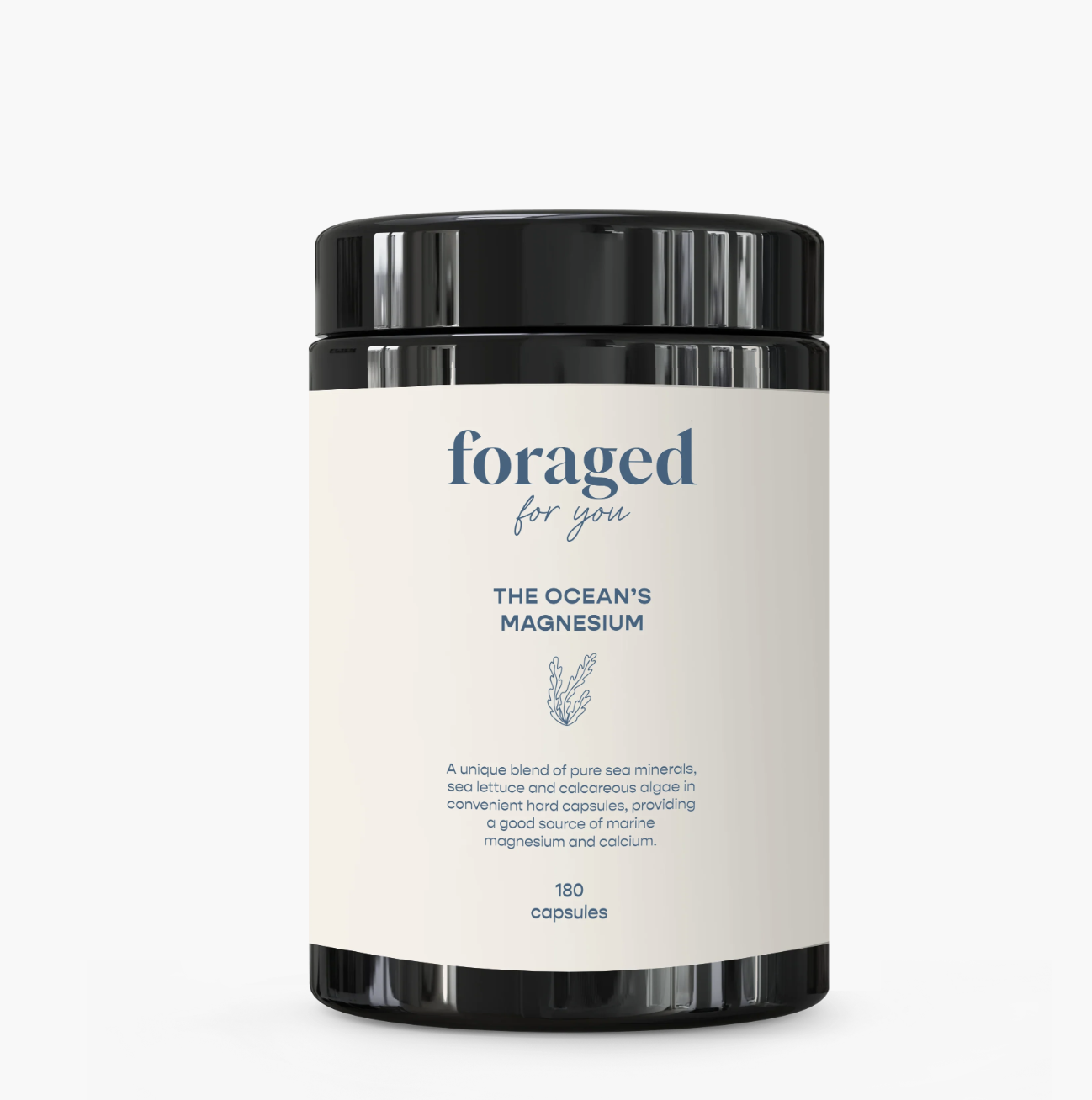 Oceans Magnesium - Foraged for you