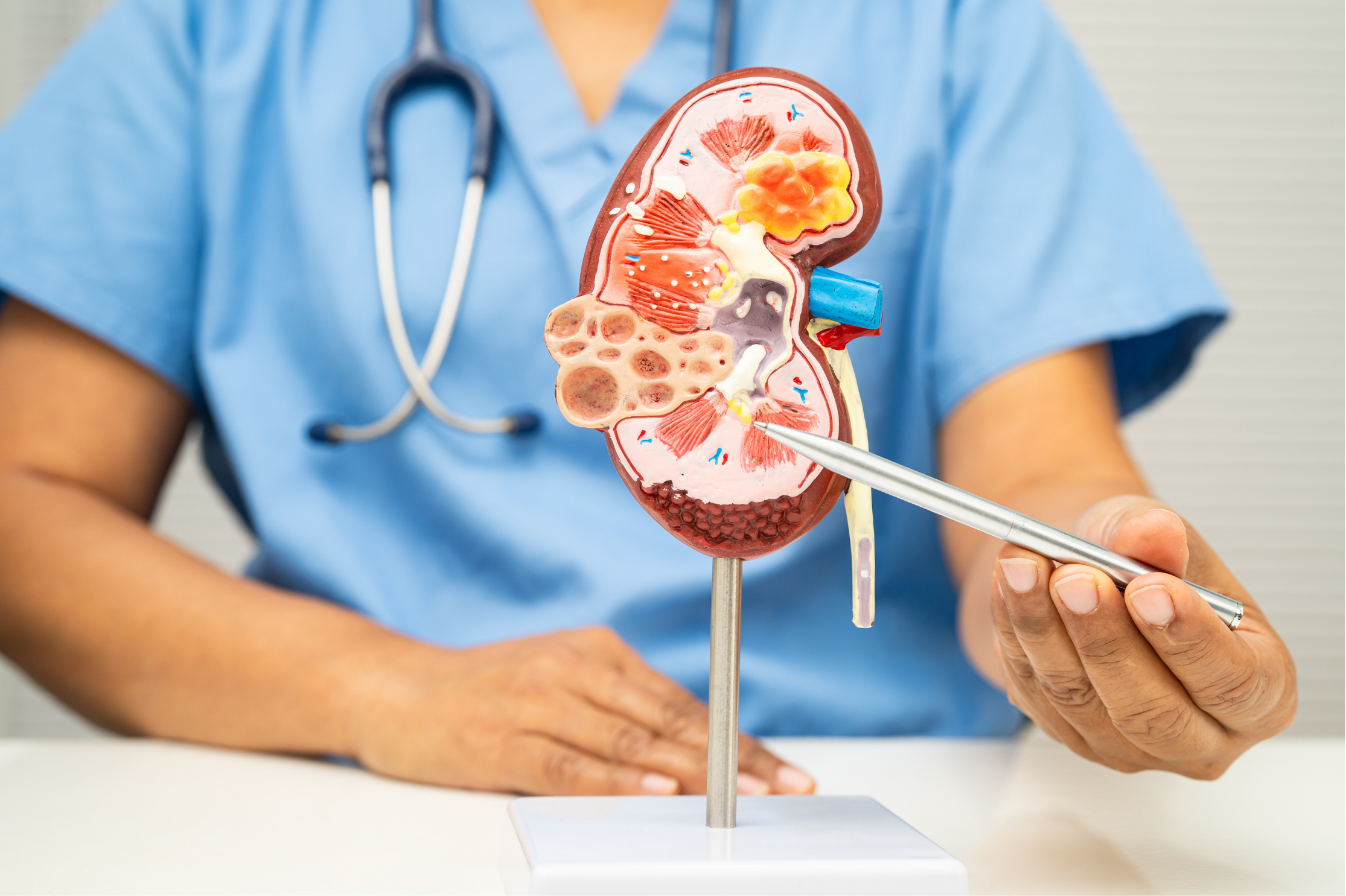 Dr Dane Cole-Clark Urology Newcastle Hunter Valley Urological Cancer