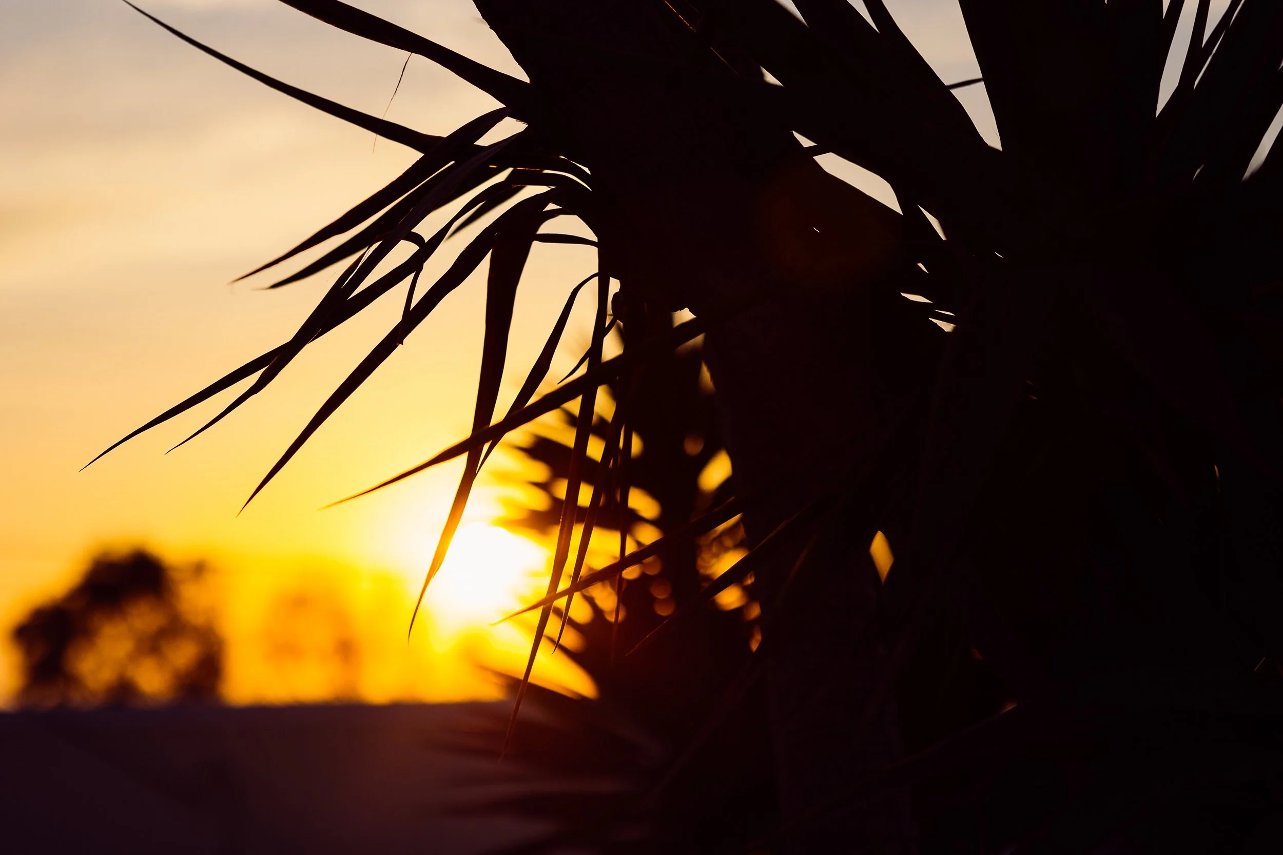 SANTORINI 2022 jessshots5.jpg