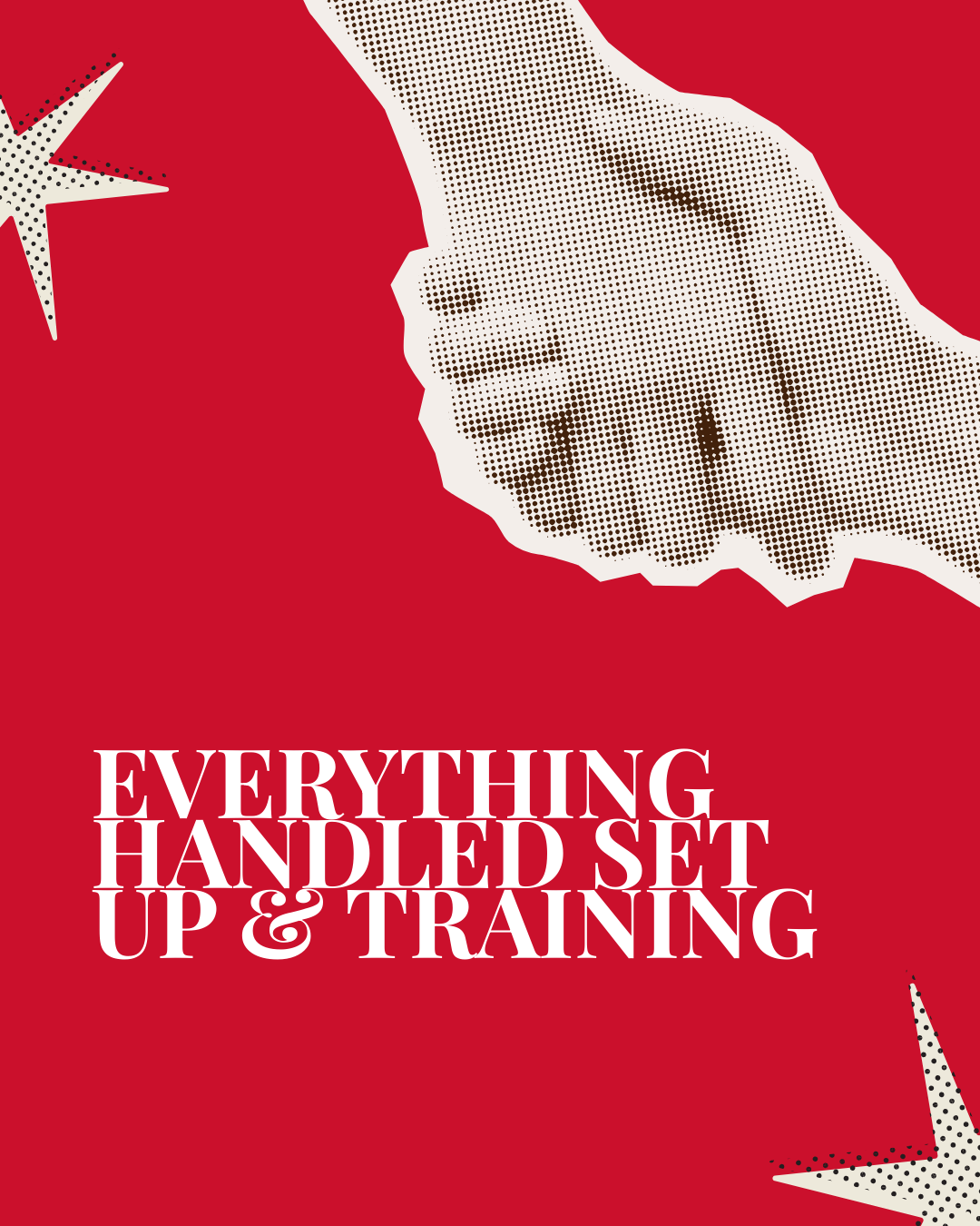 Everything handled Setup + Training