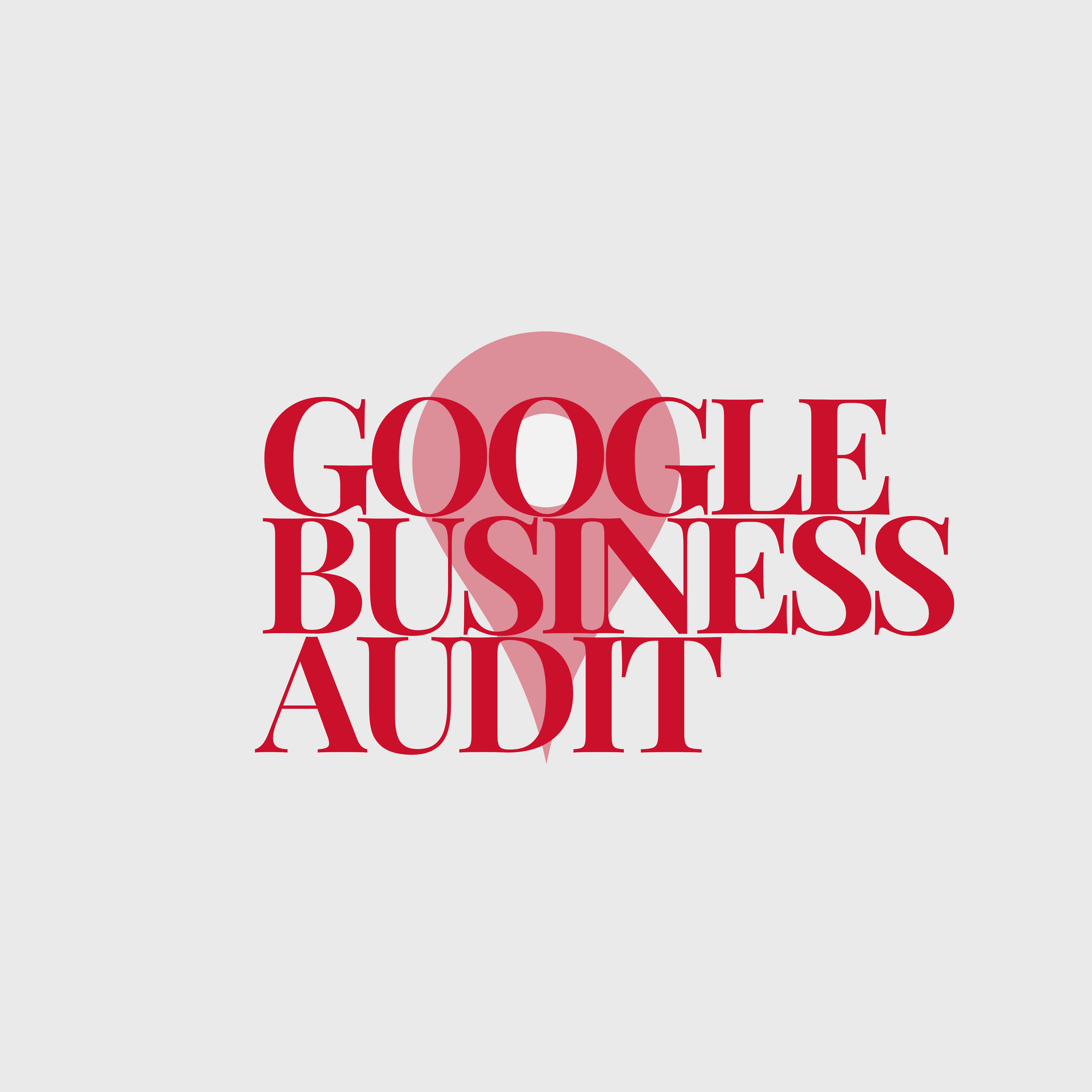 google business audit.png
