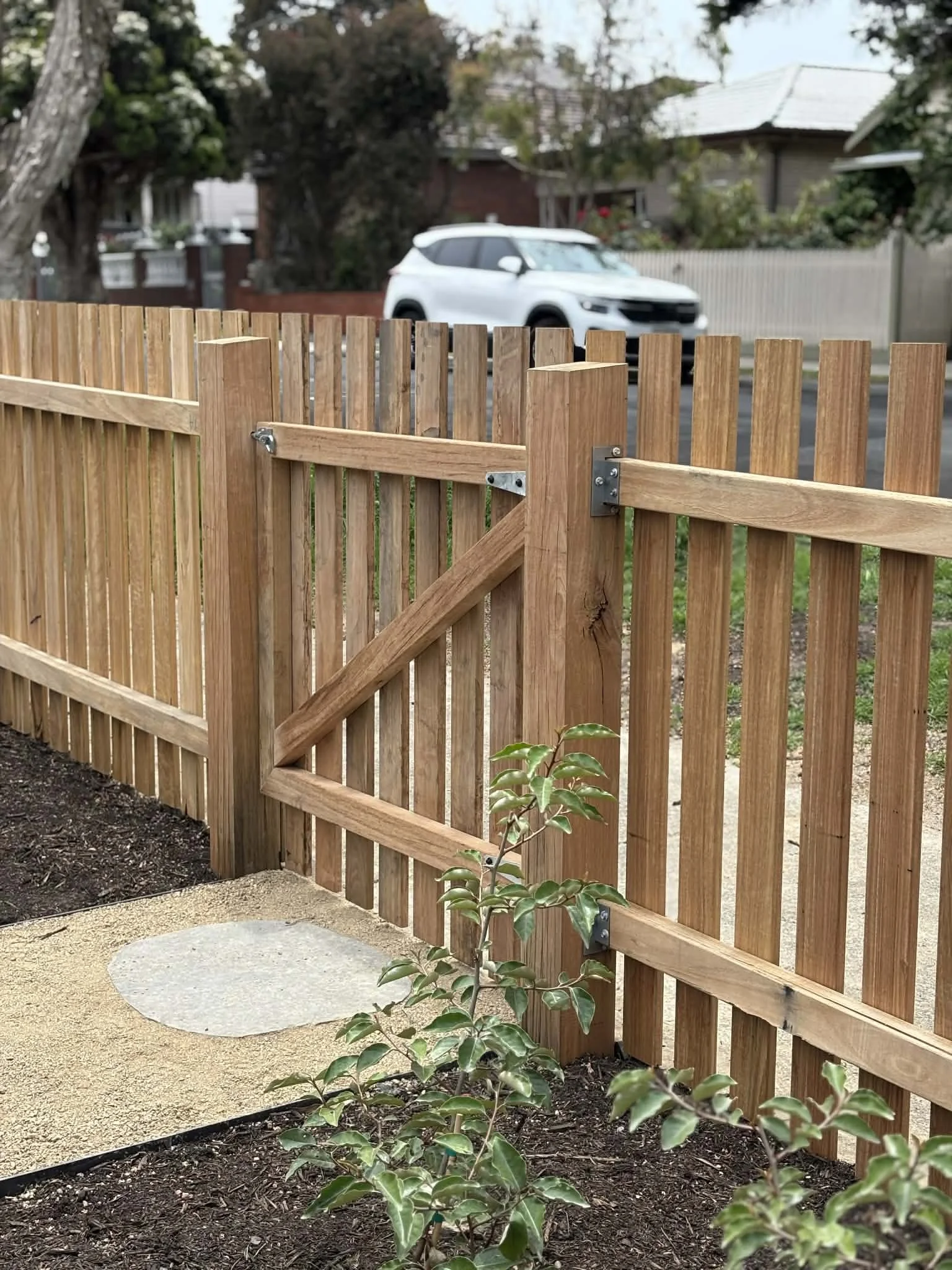 New wooden fence with a small gate and a shrub in the foreground, with a white vehicle and houses in the background.