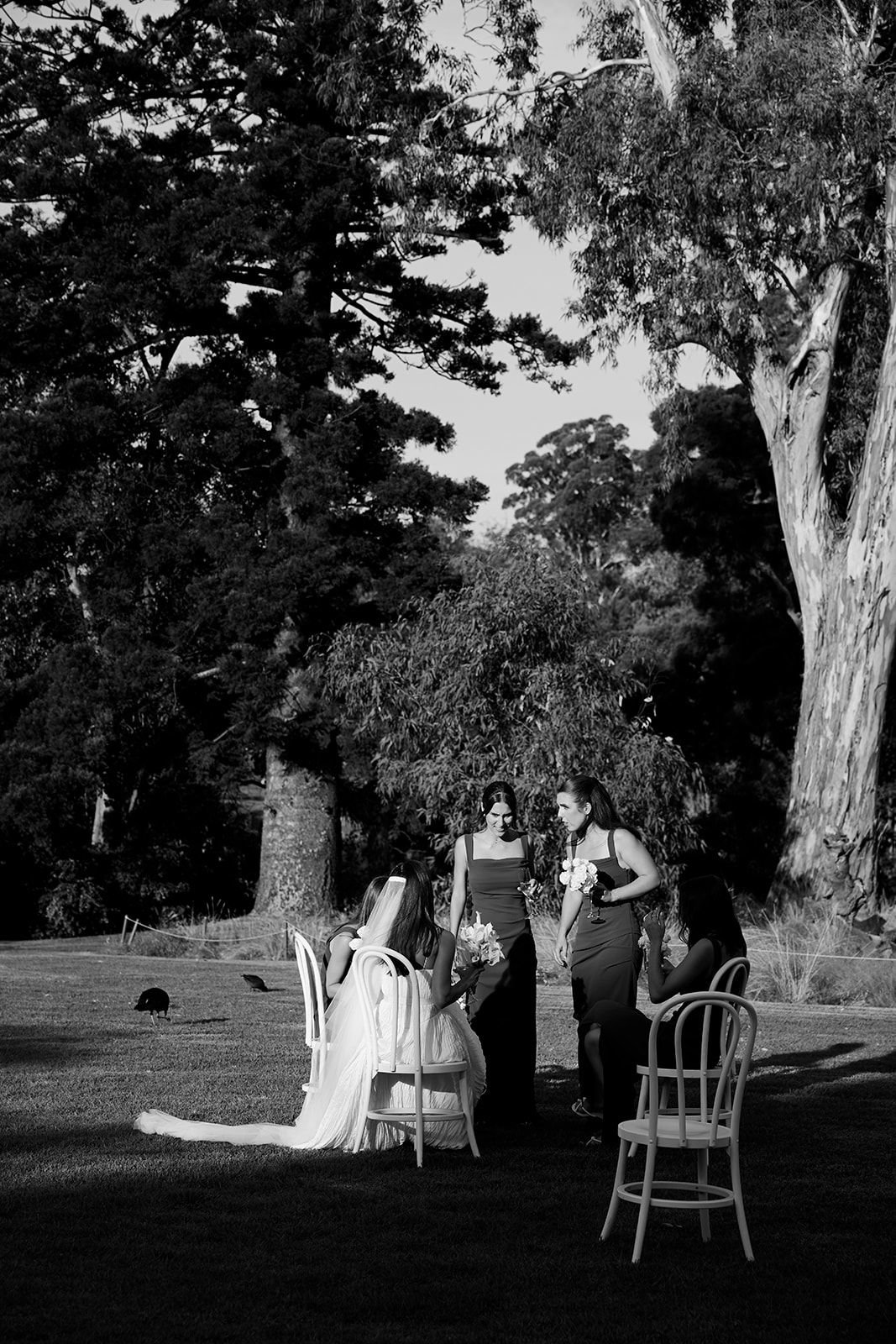 WhatsApp Image 2025-08-11 at 06.35.52 (1).jpeg