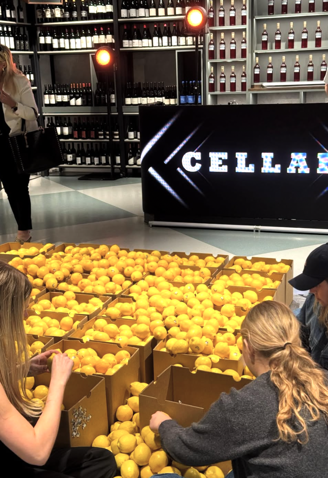 Screenshot 2026-02-11 at 5.26.02 pm.png