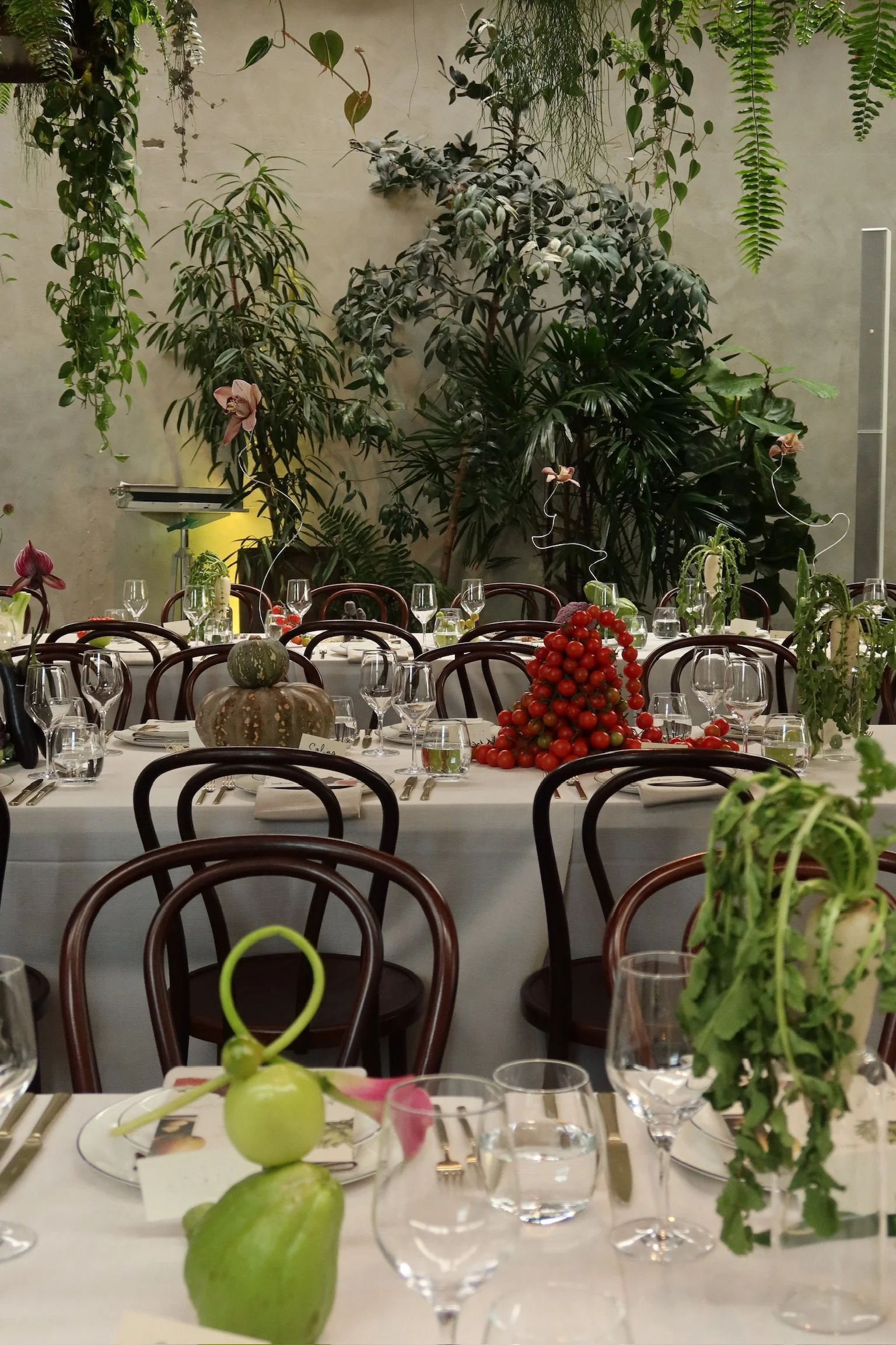 Join us at Feast of Wellness